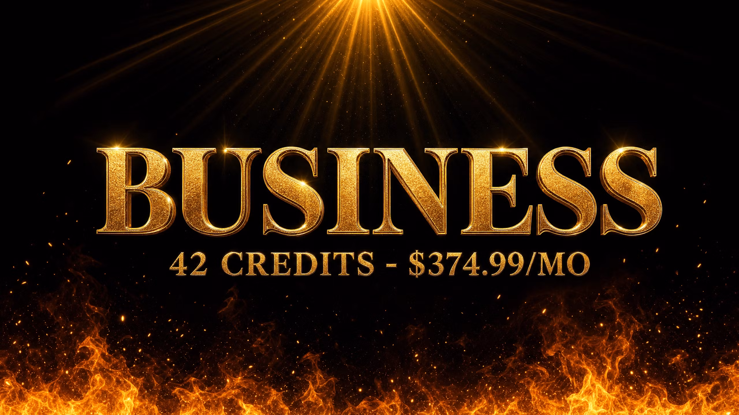 Business 