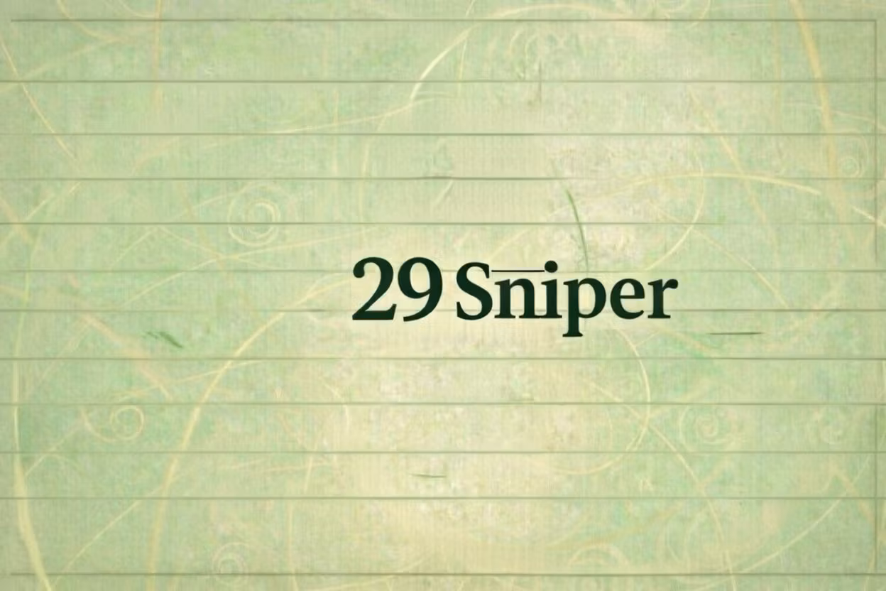 29 Sniper Mentorship