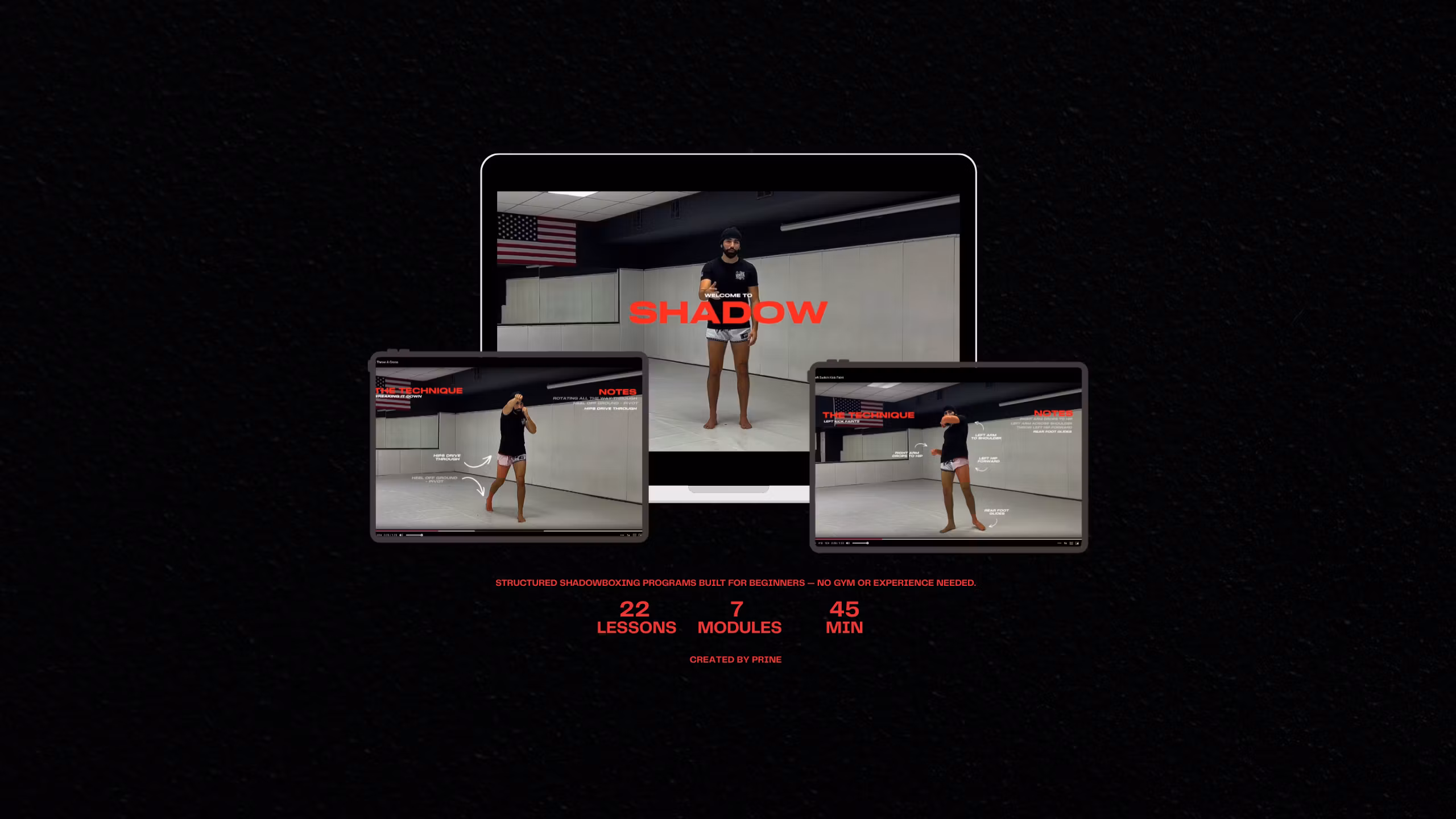 Shadow Program