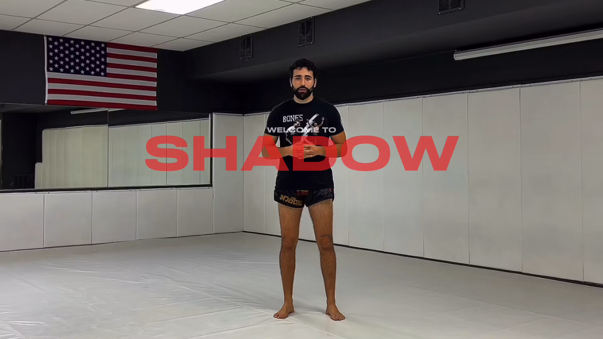 The Shadow Program: Foundation
