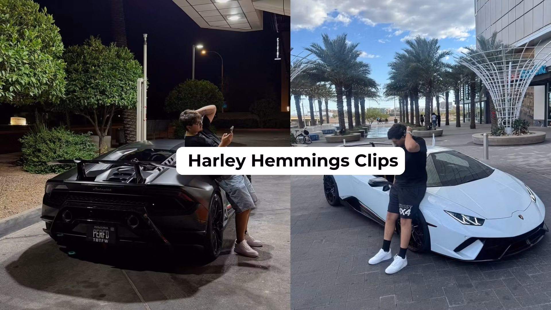 Harleys Clippers