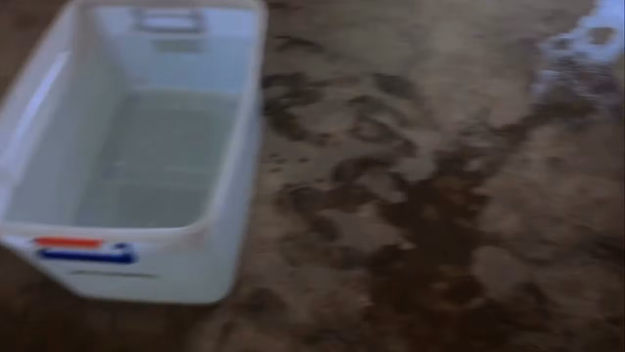 💰Dishwashing Business 💸