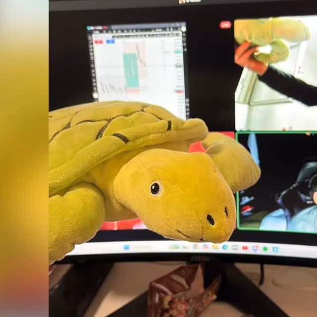 Yoav and maor's store