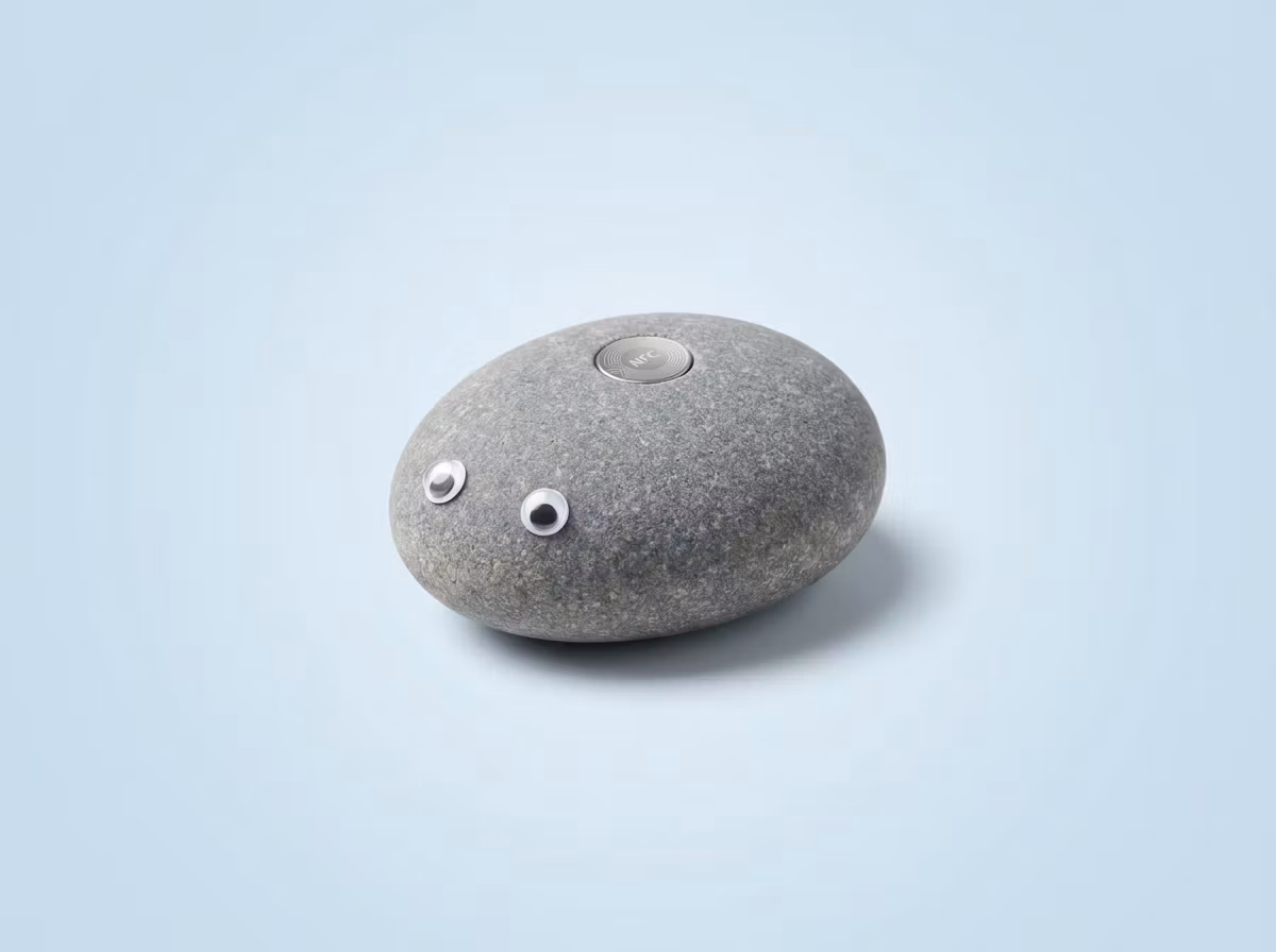 The Pet Rock