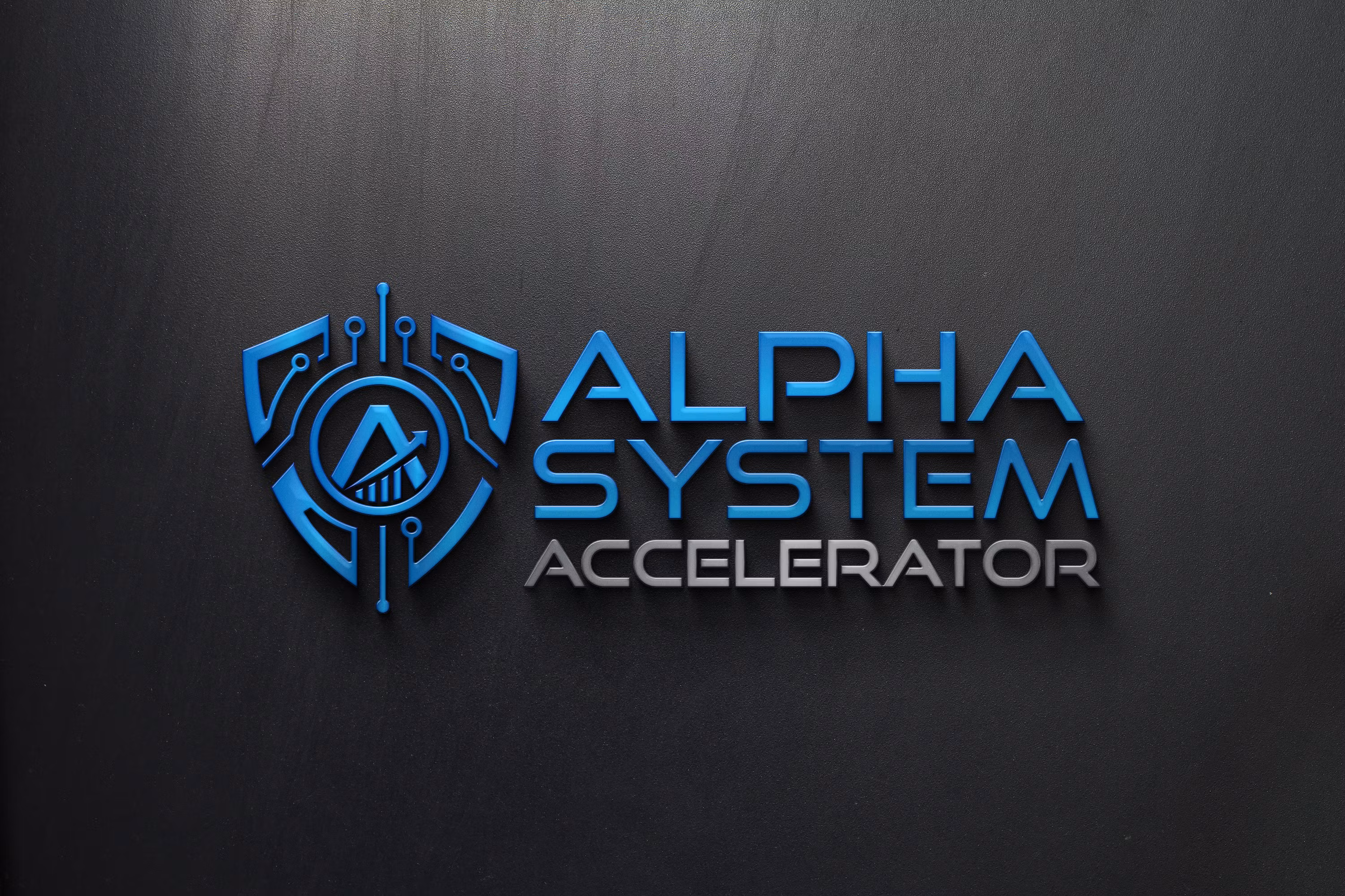Alpha System Accelerator
