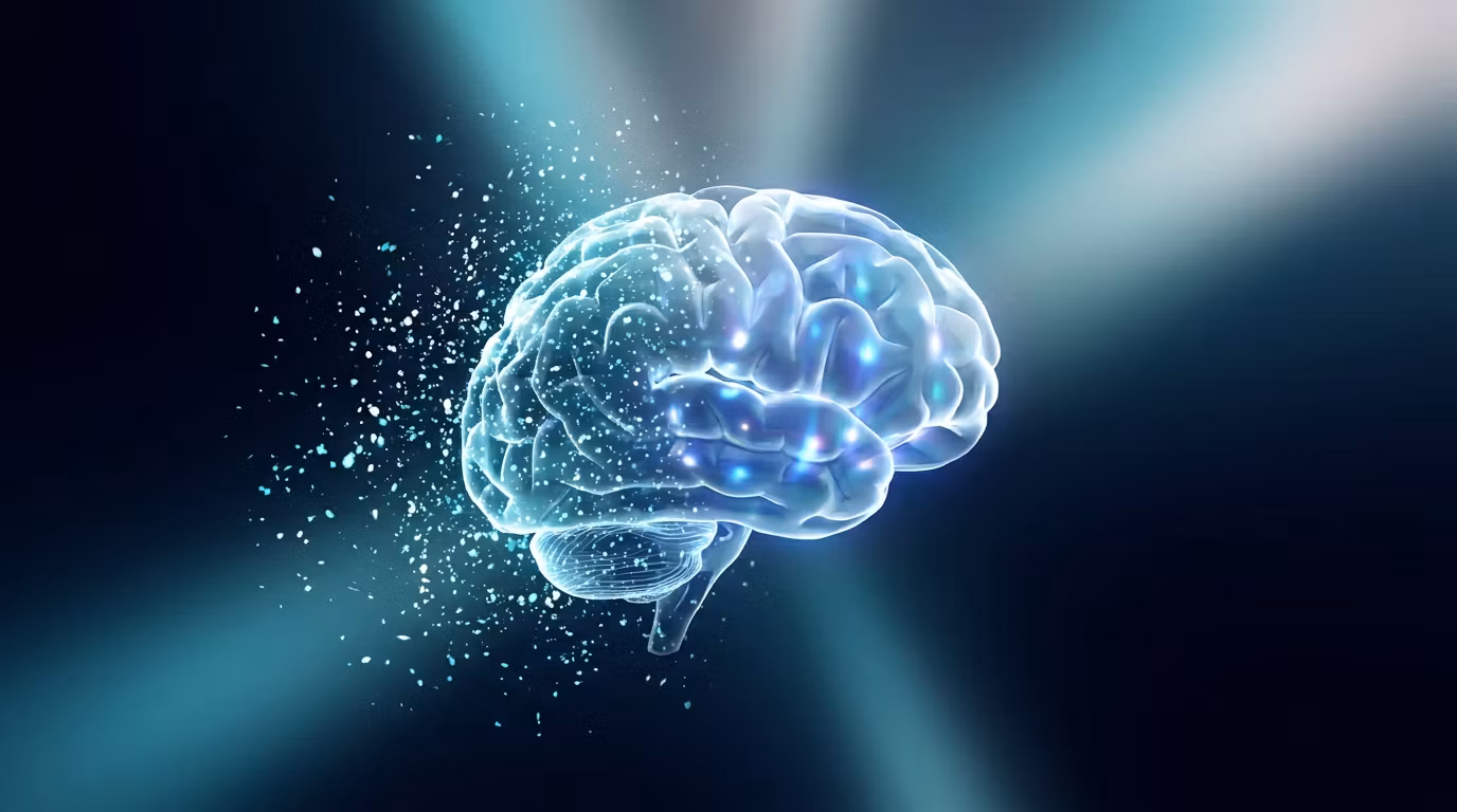 Mental Reset Vault™