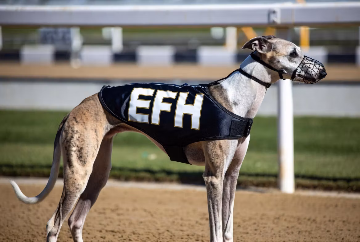 EFH
