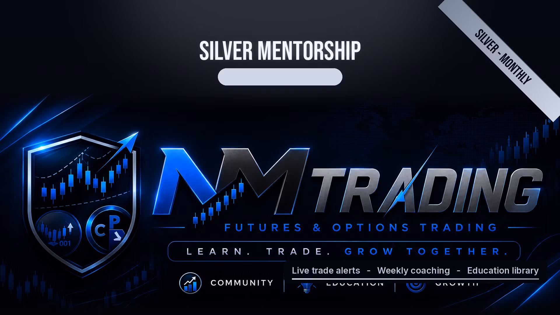 Silver Level Mentorship (Monthly)