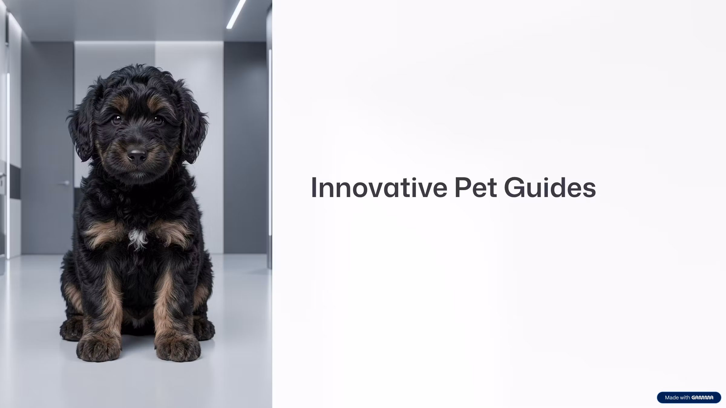 Innovative Pet Guides