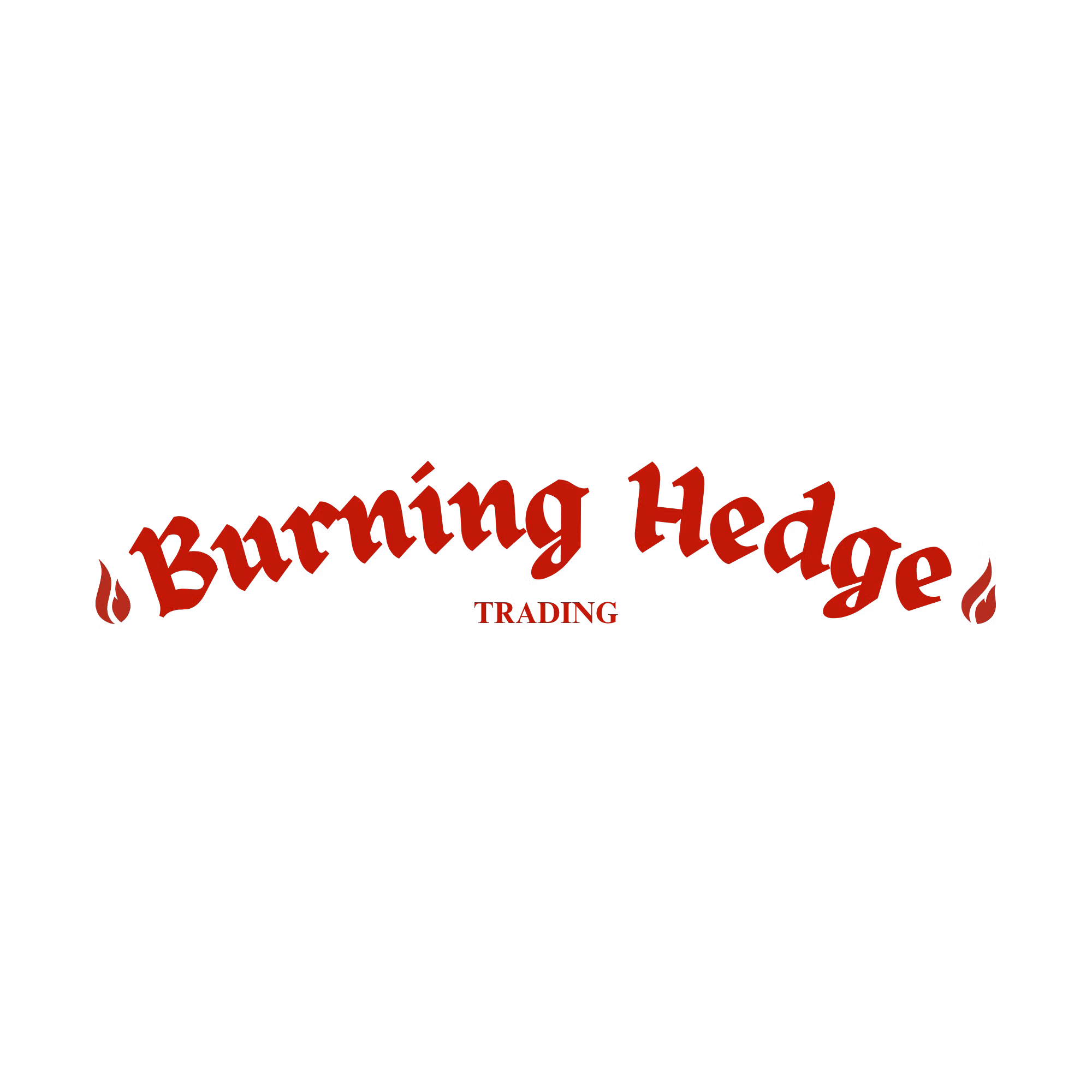 BURNING HEDGE LLC