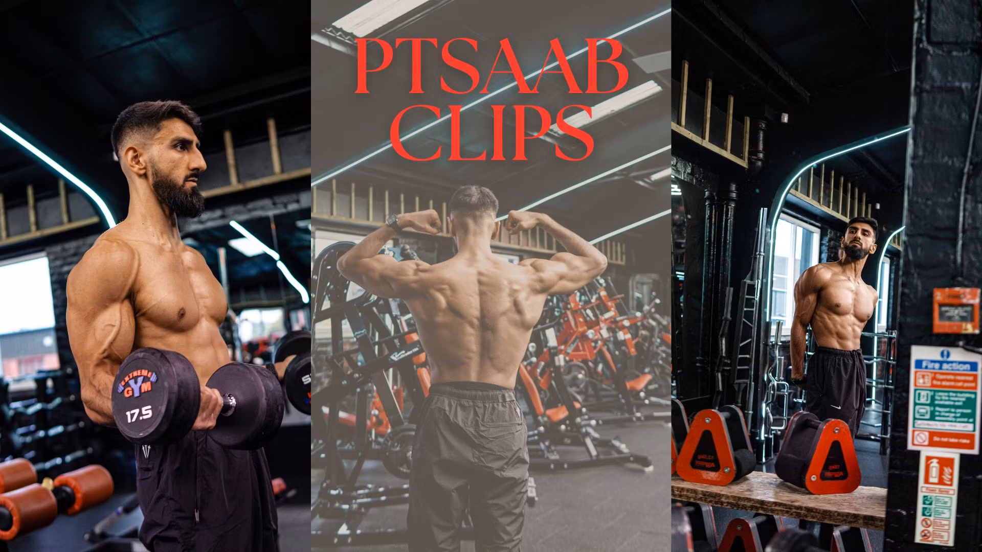 PTSaab Clips