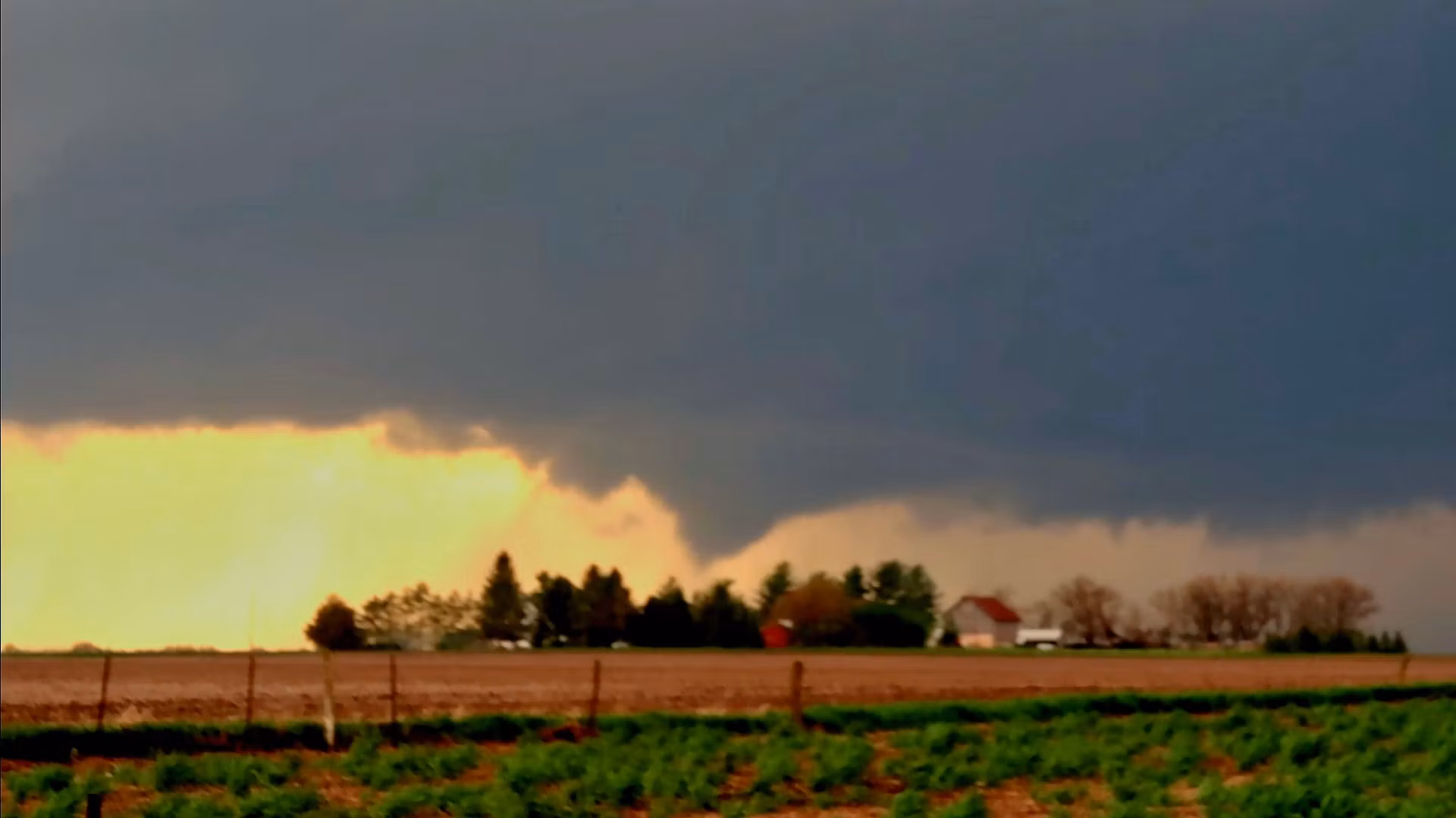 Storm Chase Syndicate