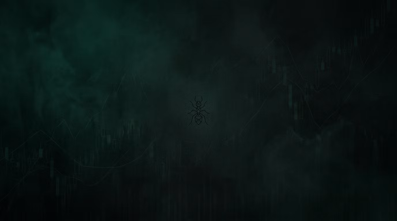 PROJECT ANT