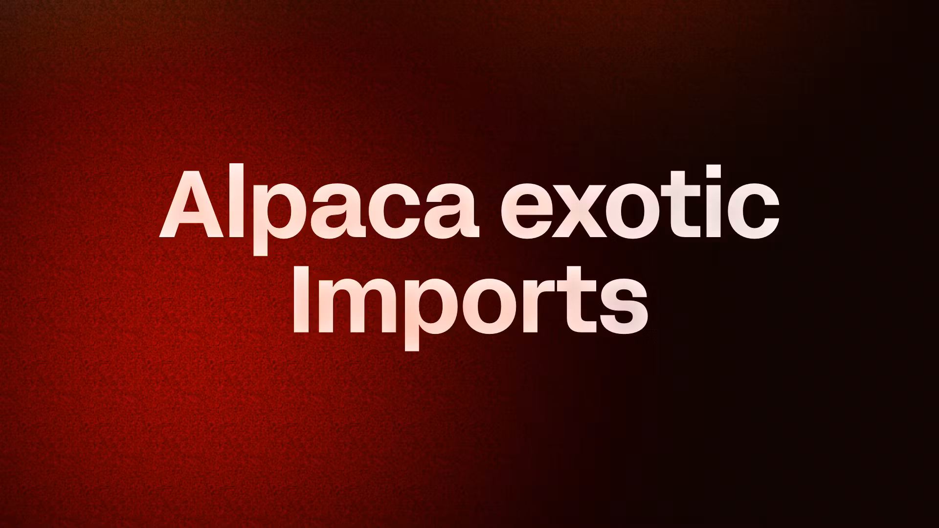 Alpaca exotic Imports 