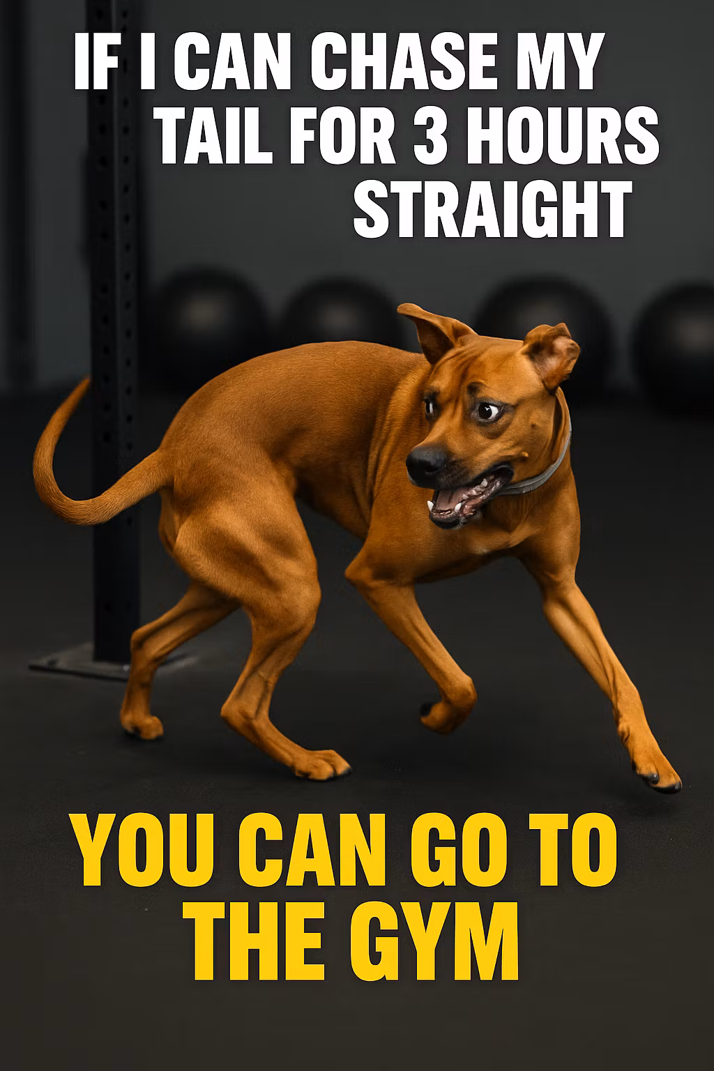 Pawsitive Pals Playhouse 