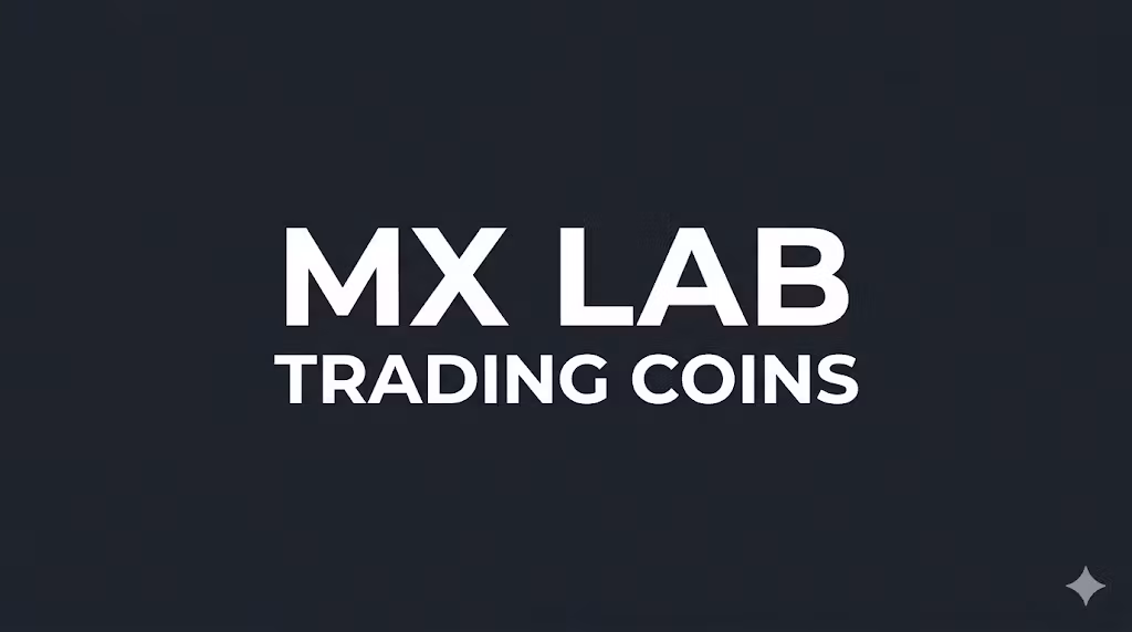 Mx Lab