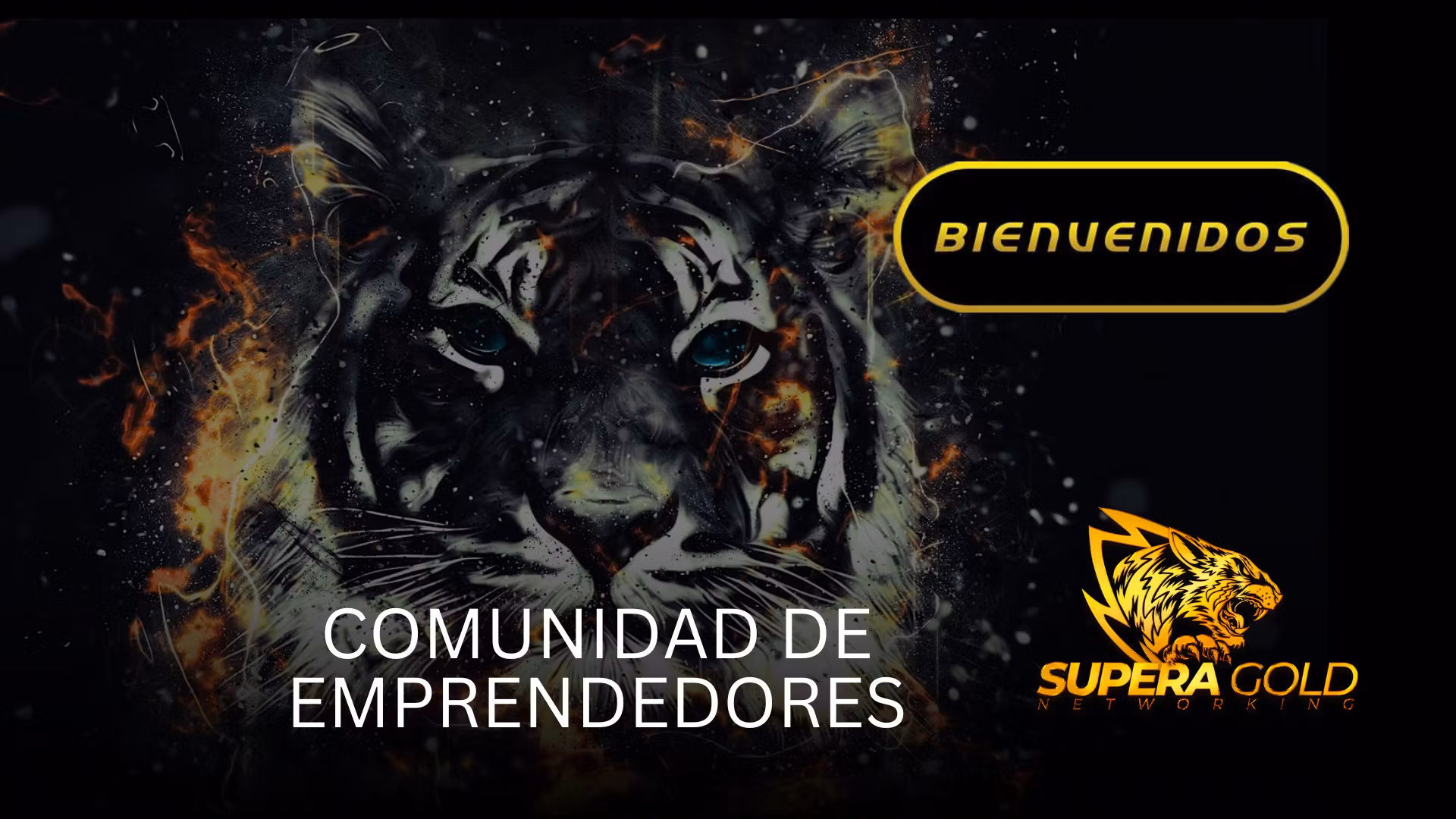 Superagold Academy