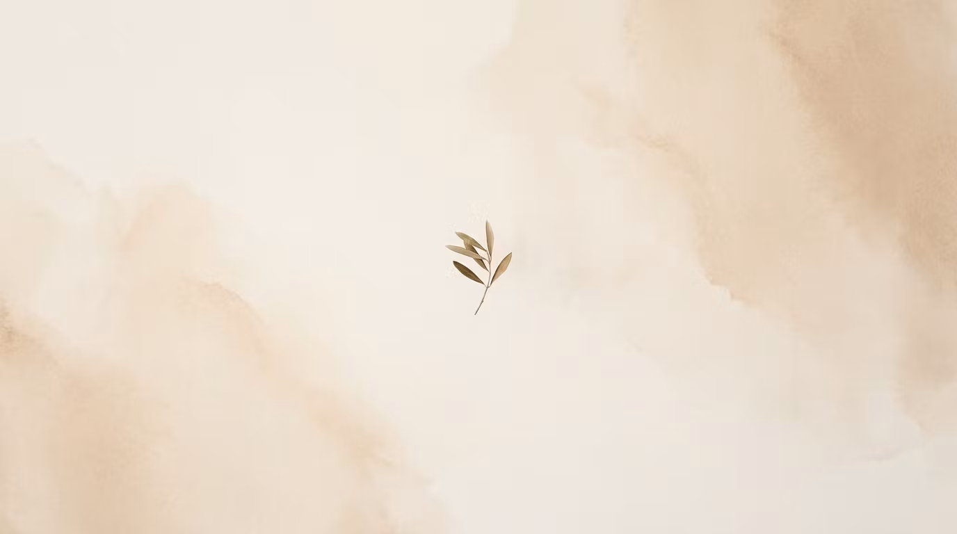 Calm Corner