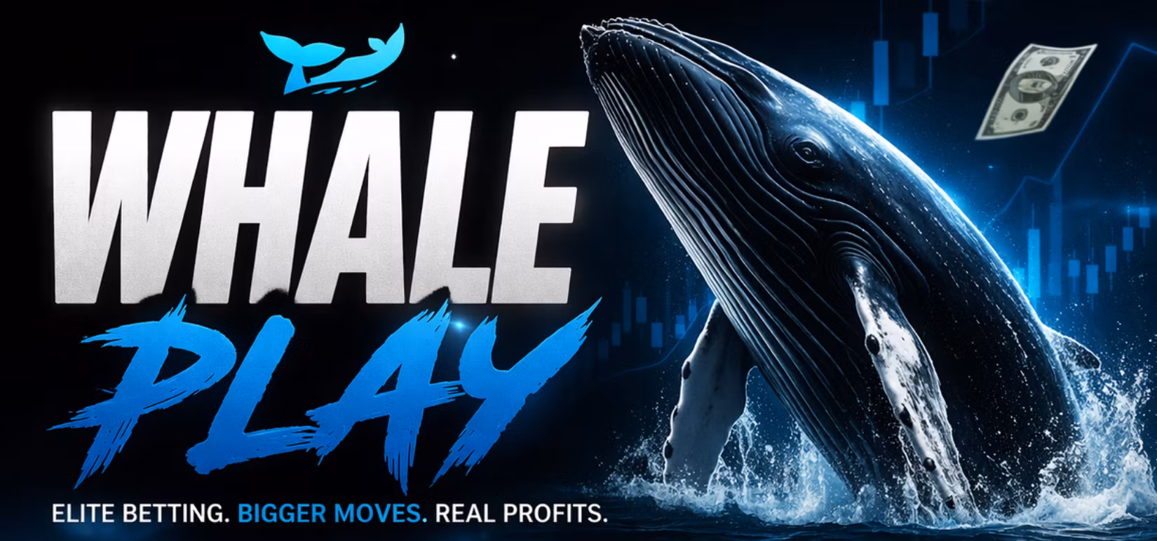 Whale Play 🐳