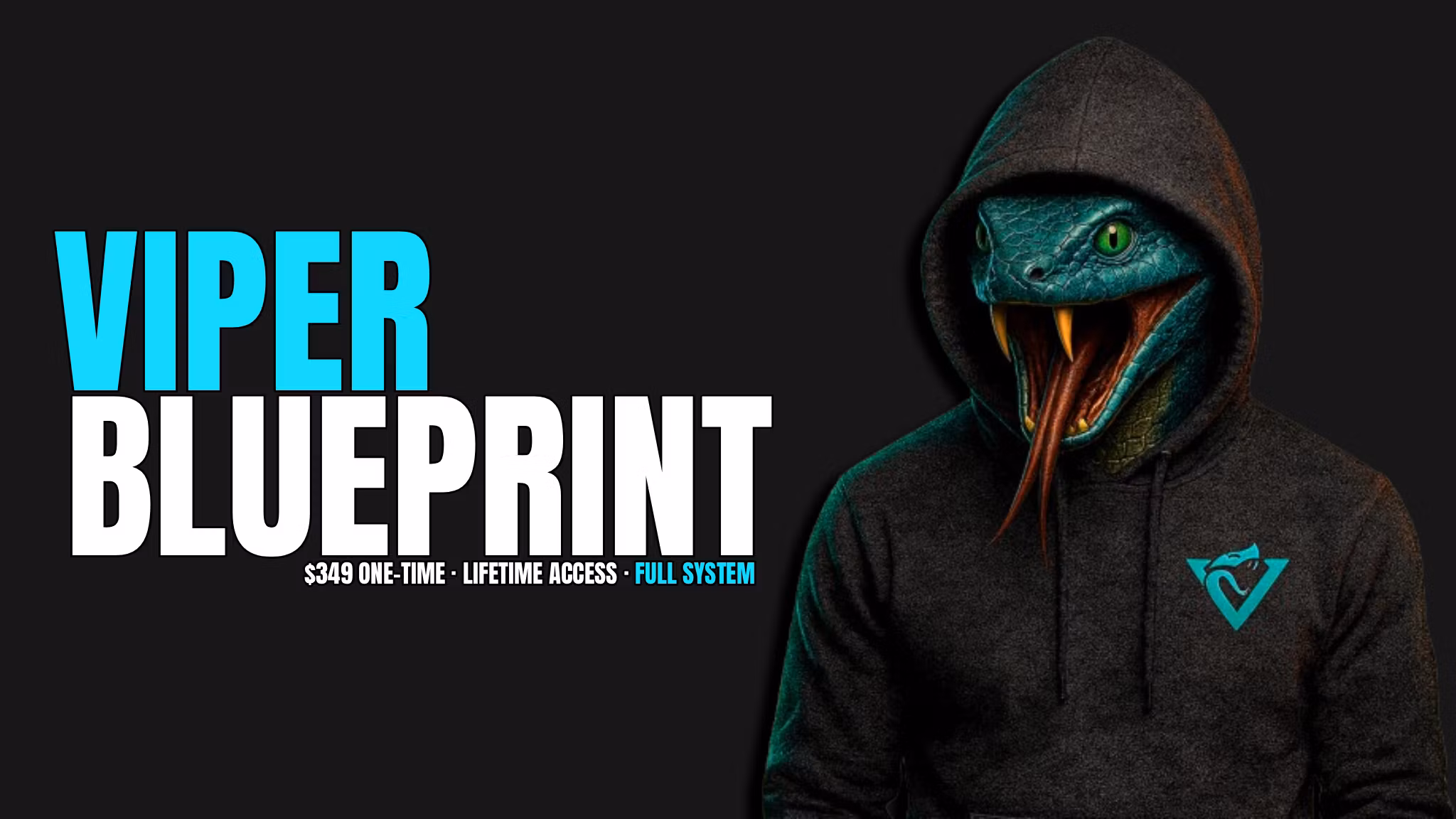 The Viper Blueprint