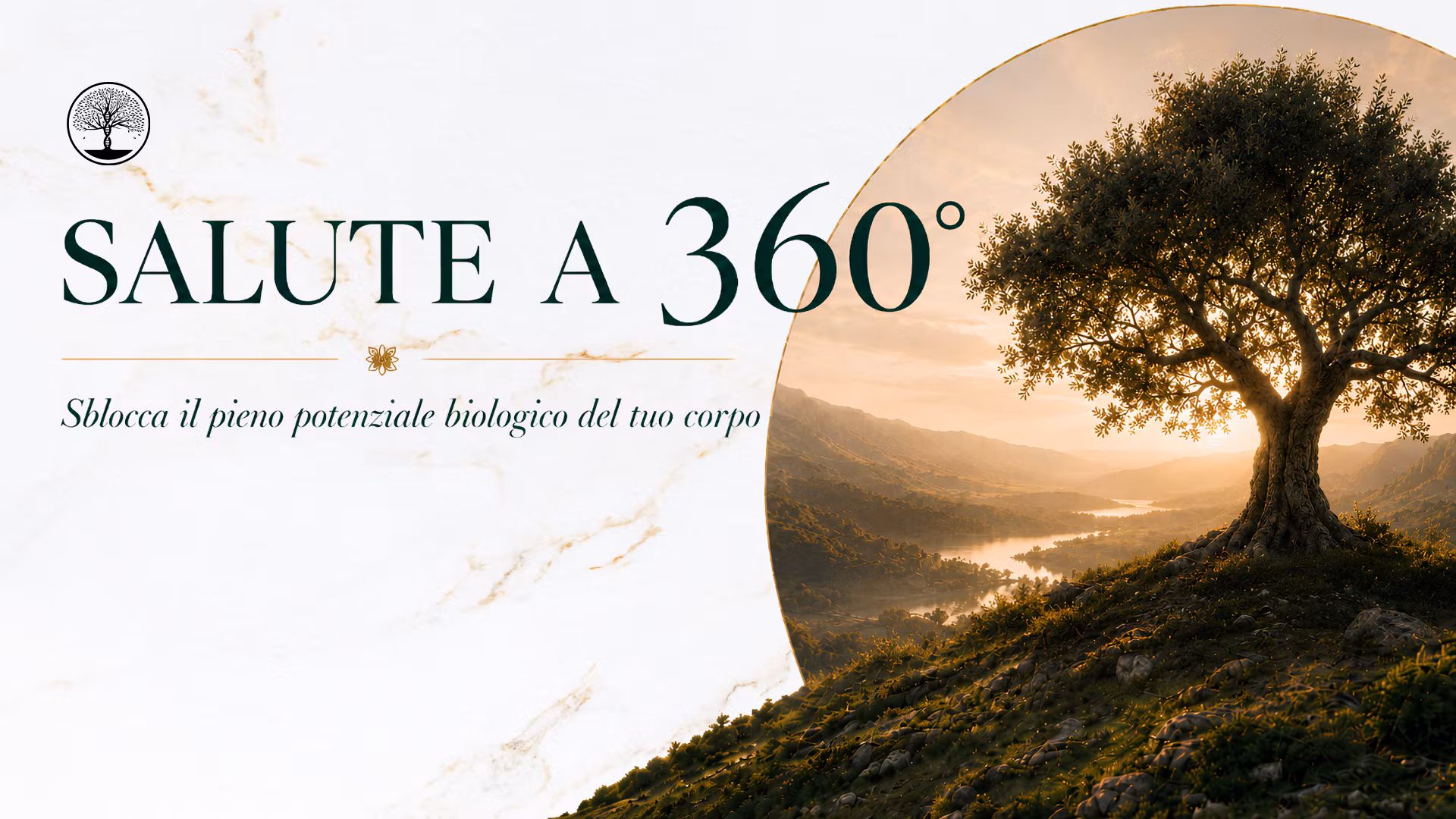 Salute a 360°