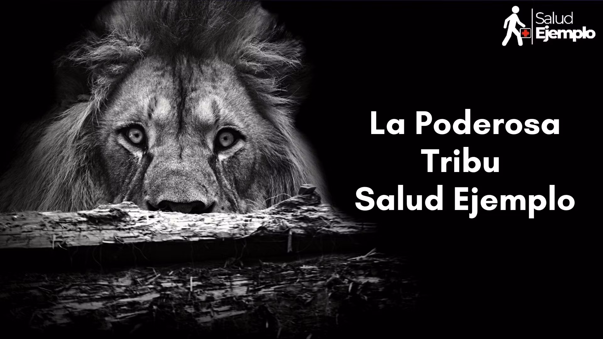 Salud Ejemplo