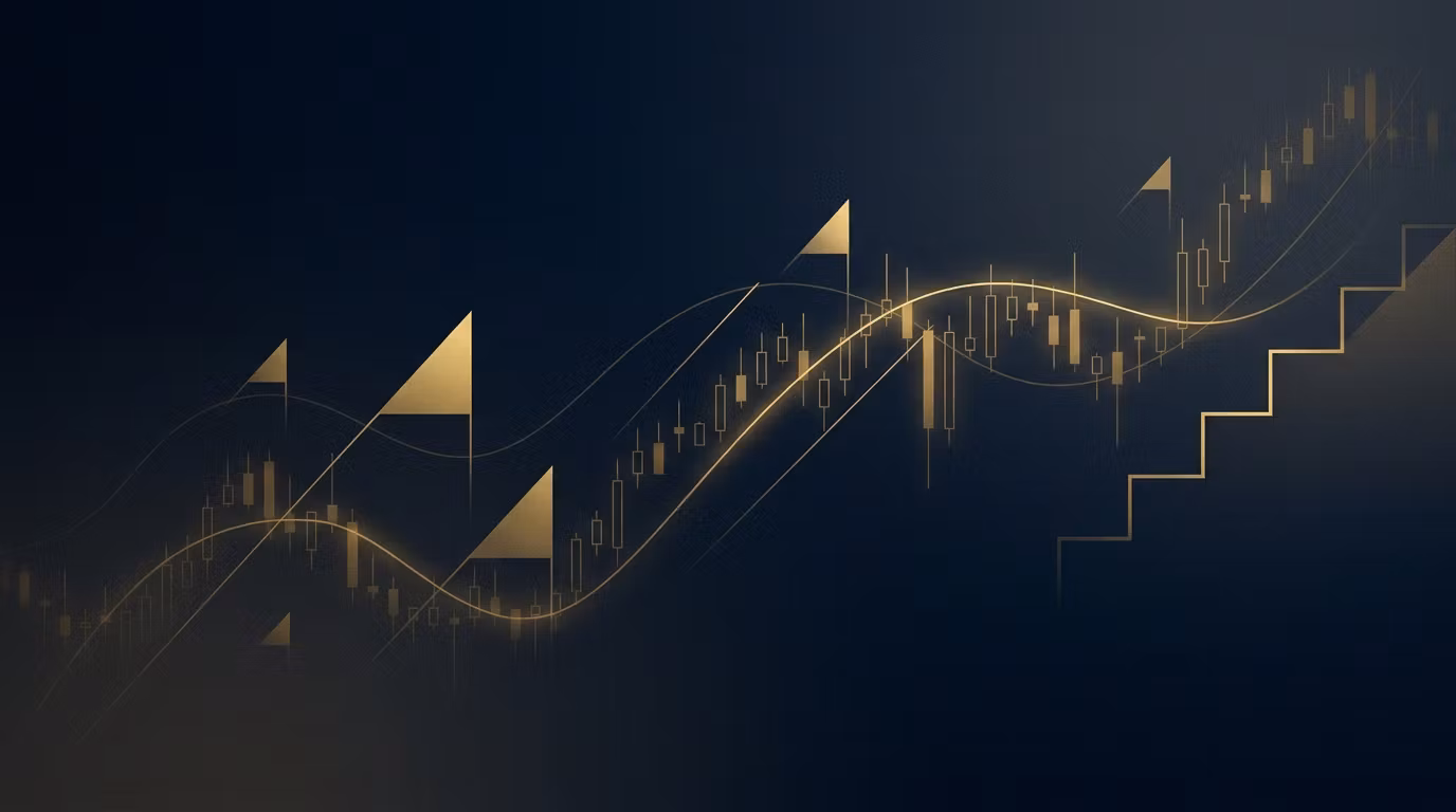 Tradex Network 