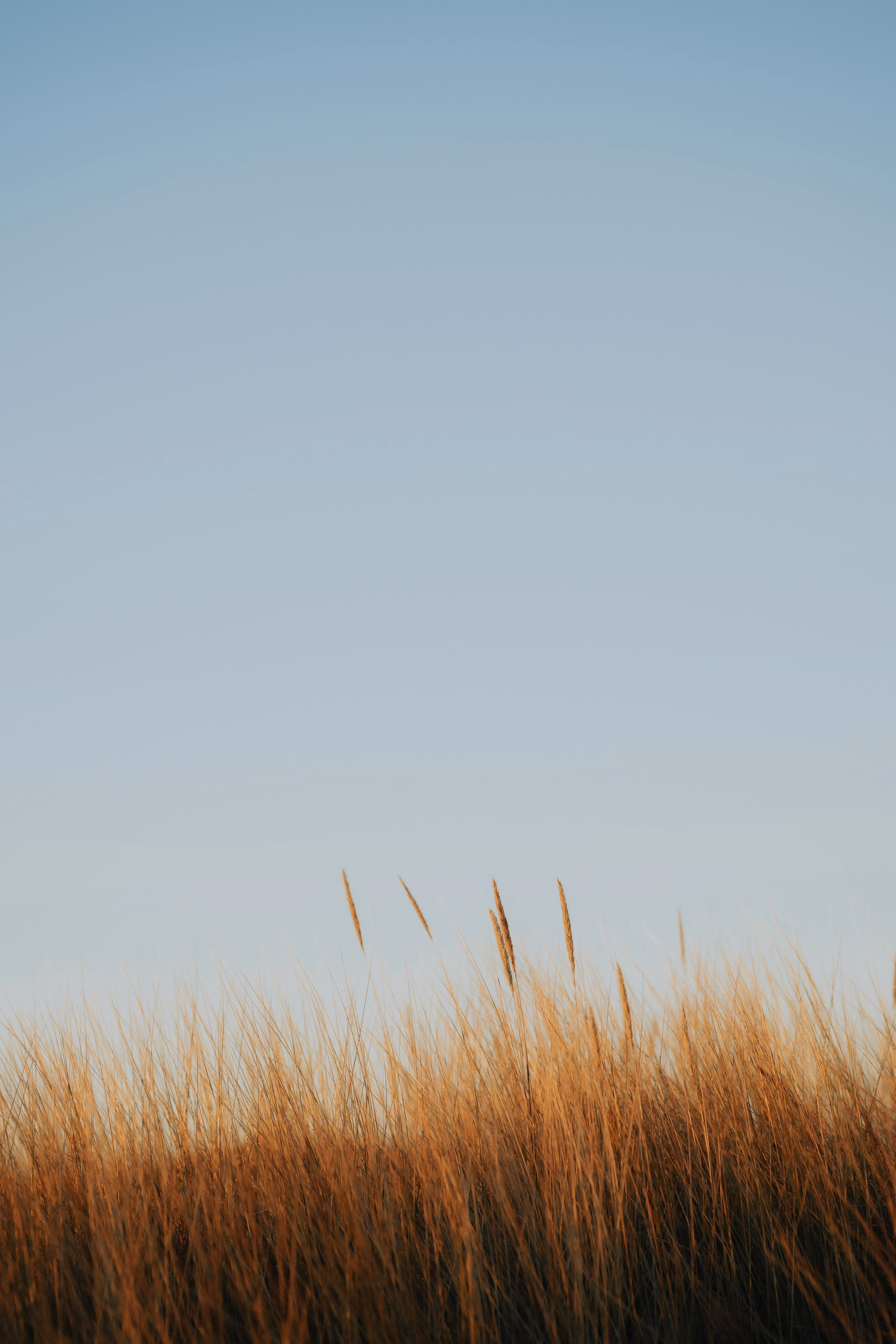 Thrift-to-Profit Bootcamp