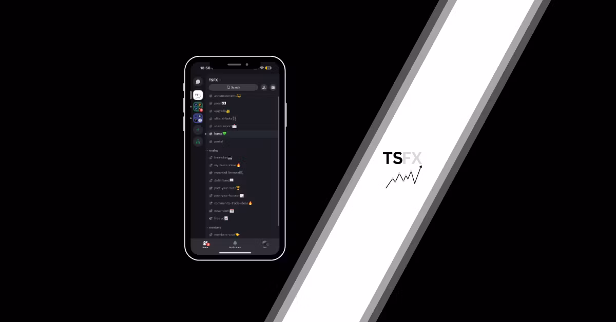 TSFX