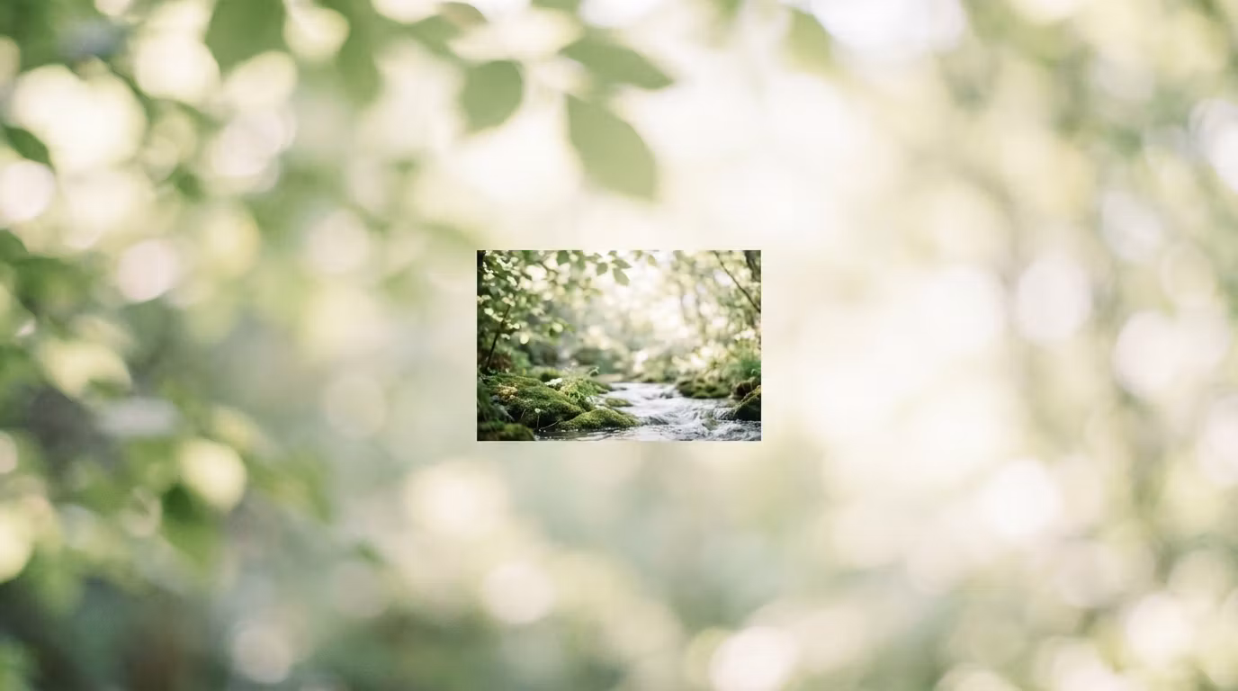 WellCore 健康顾问