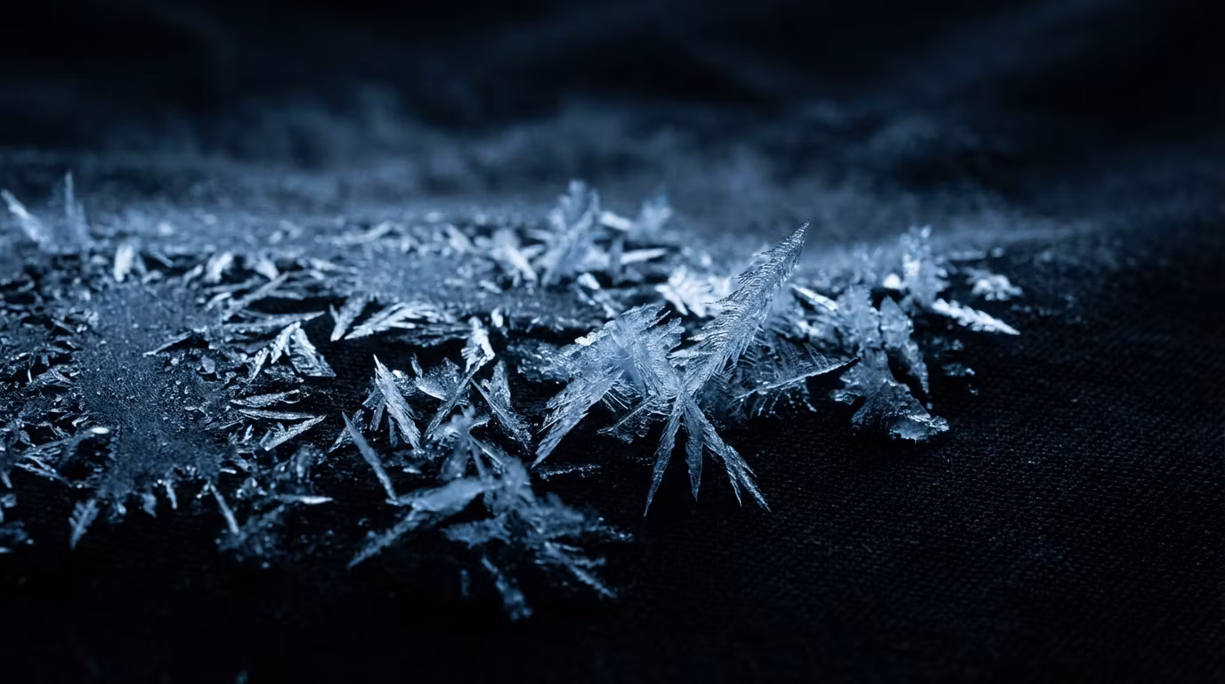 COLD CULTURE Community