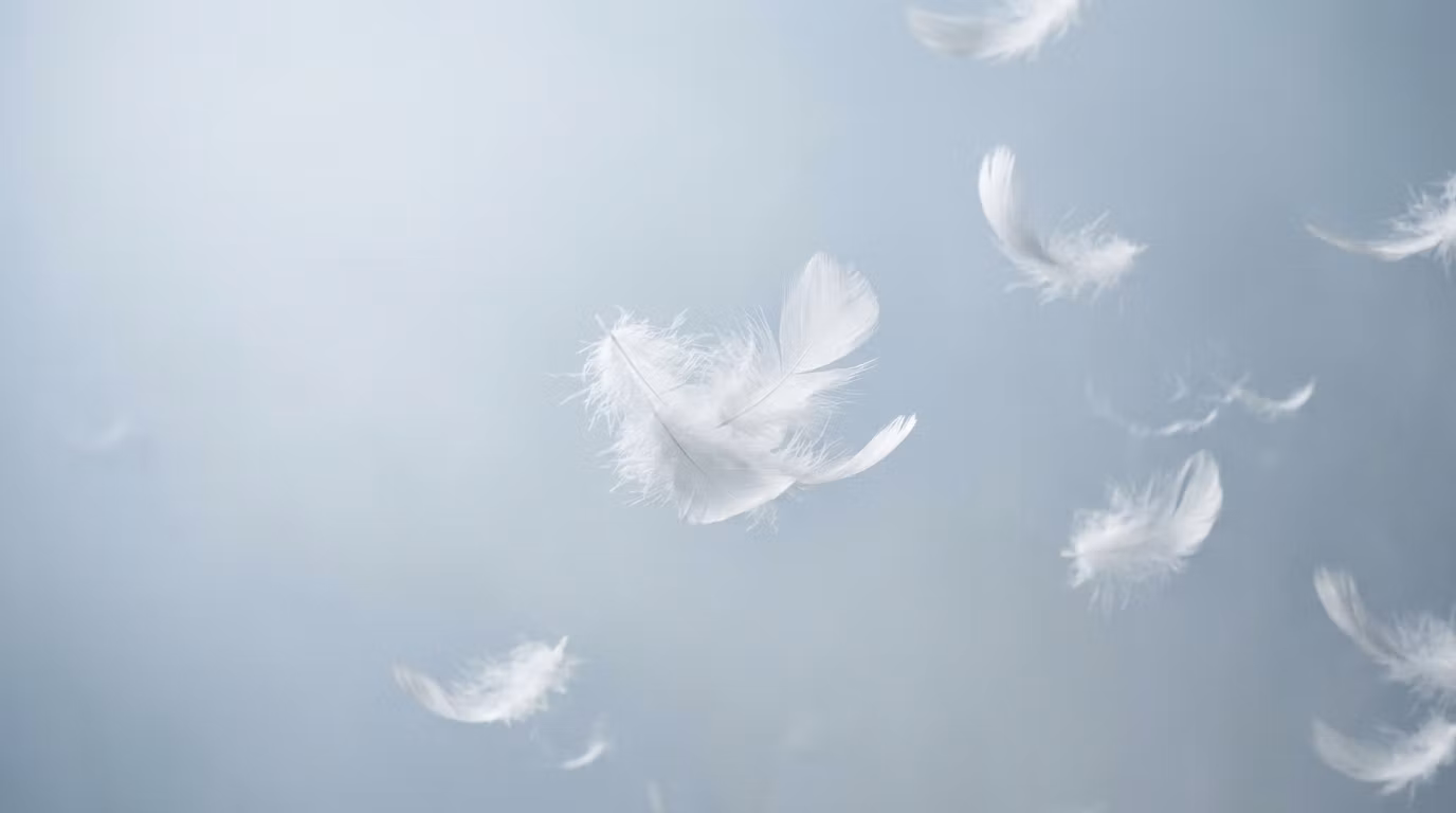 Seibersdorfer Daunenfabrik