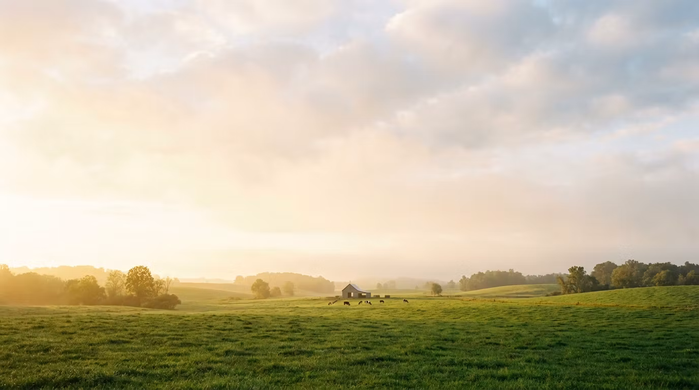 Harman Milk Dairy Joga