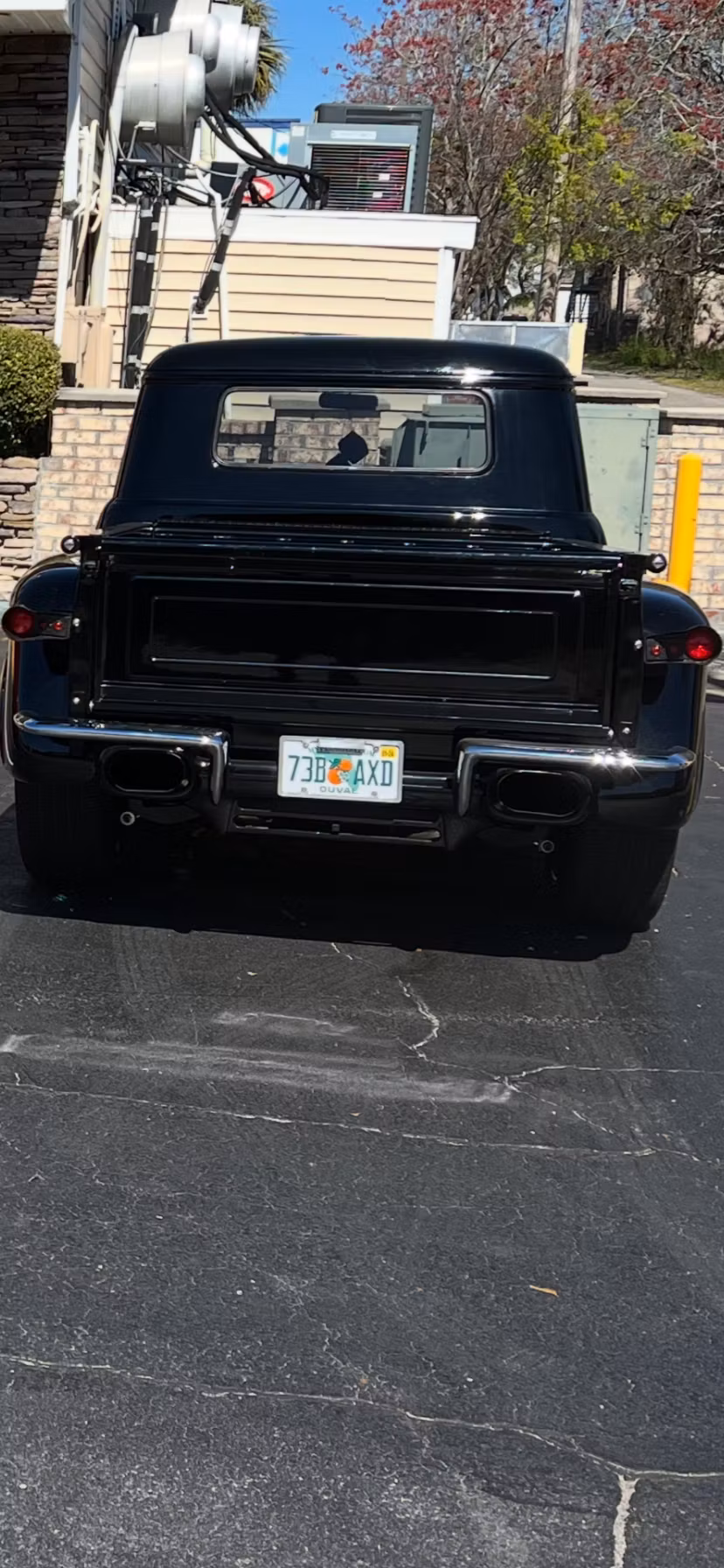 Seated workout for seniors 65+