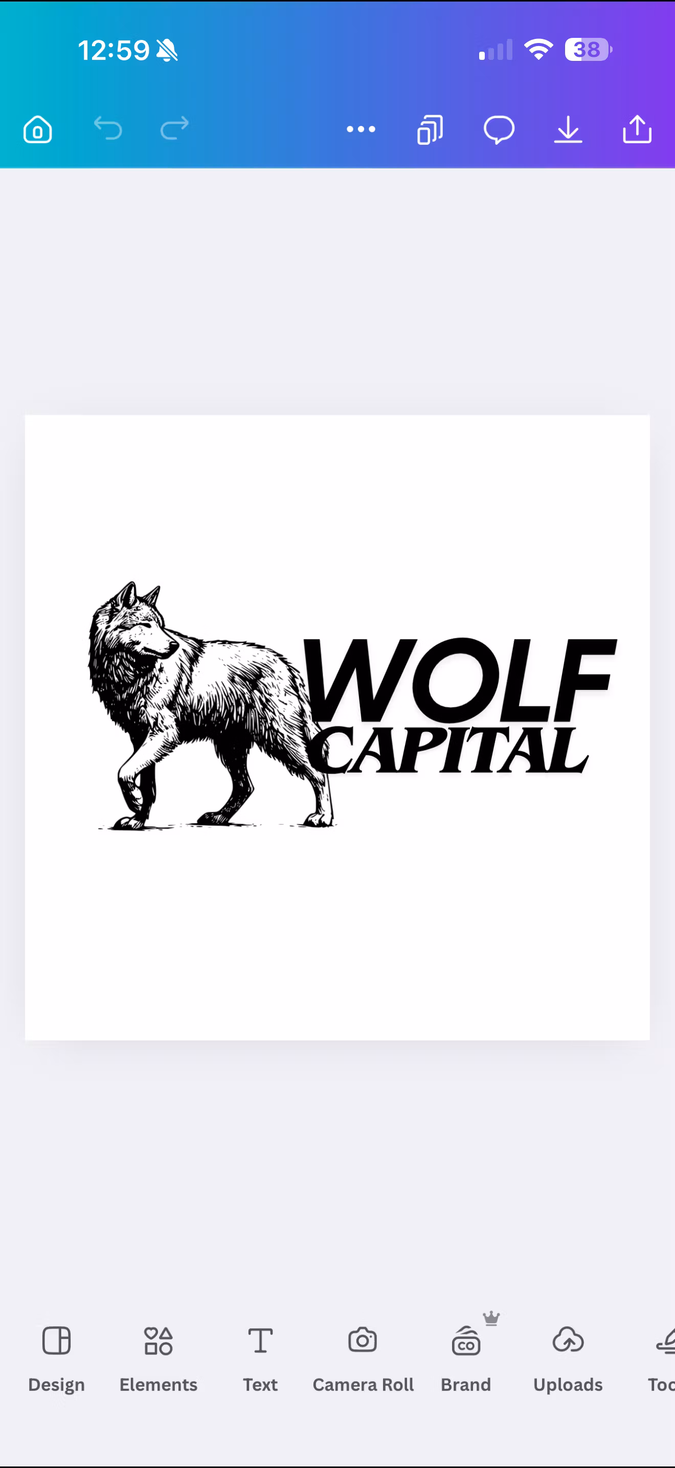 WOLF CAPITAL