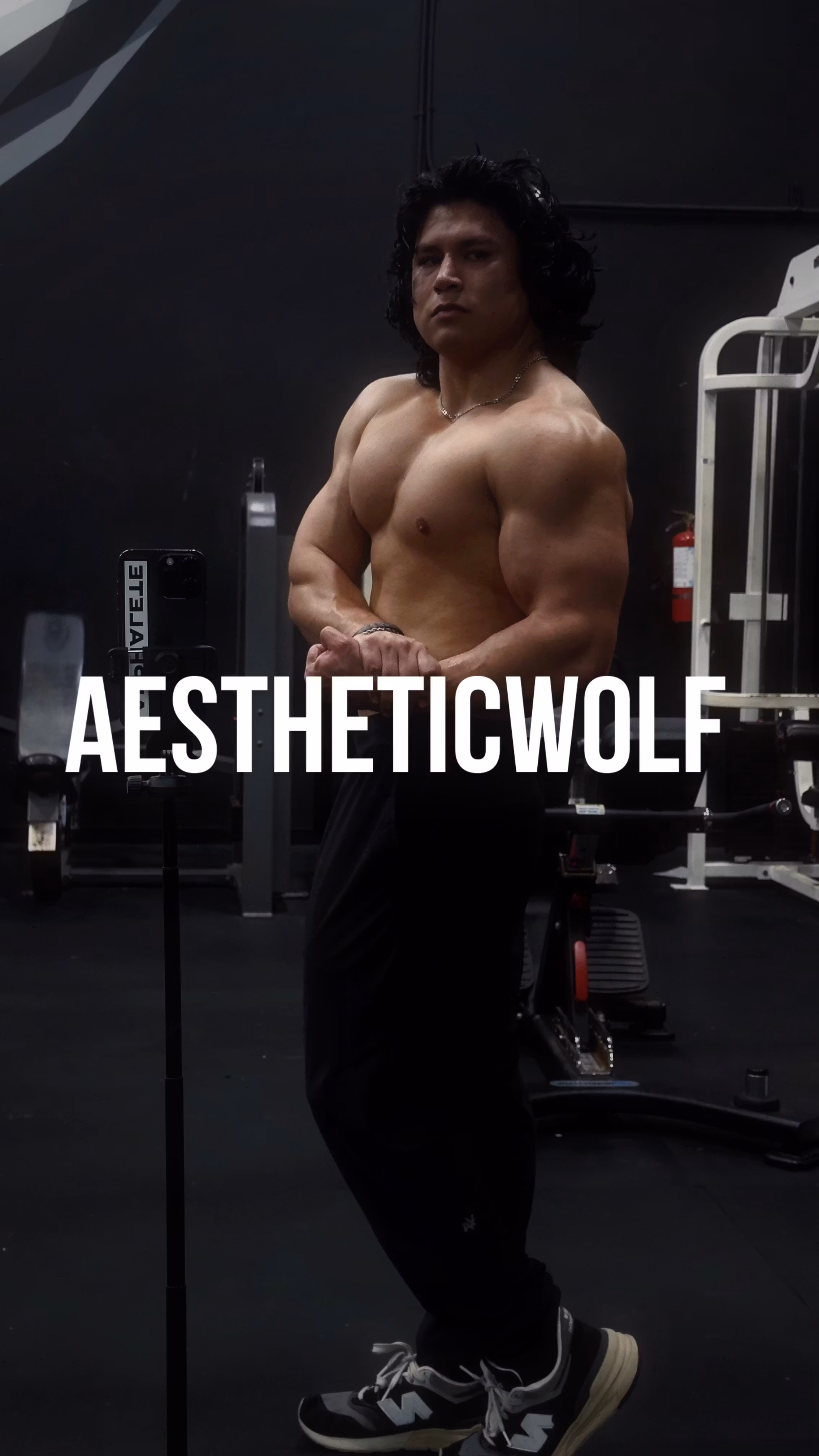 aesthetic-wolf