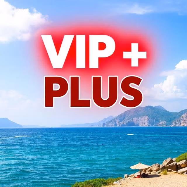 VIP TABLE TENNIS PLUS