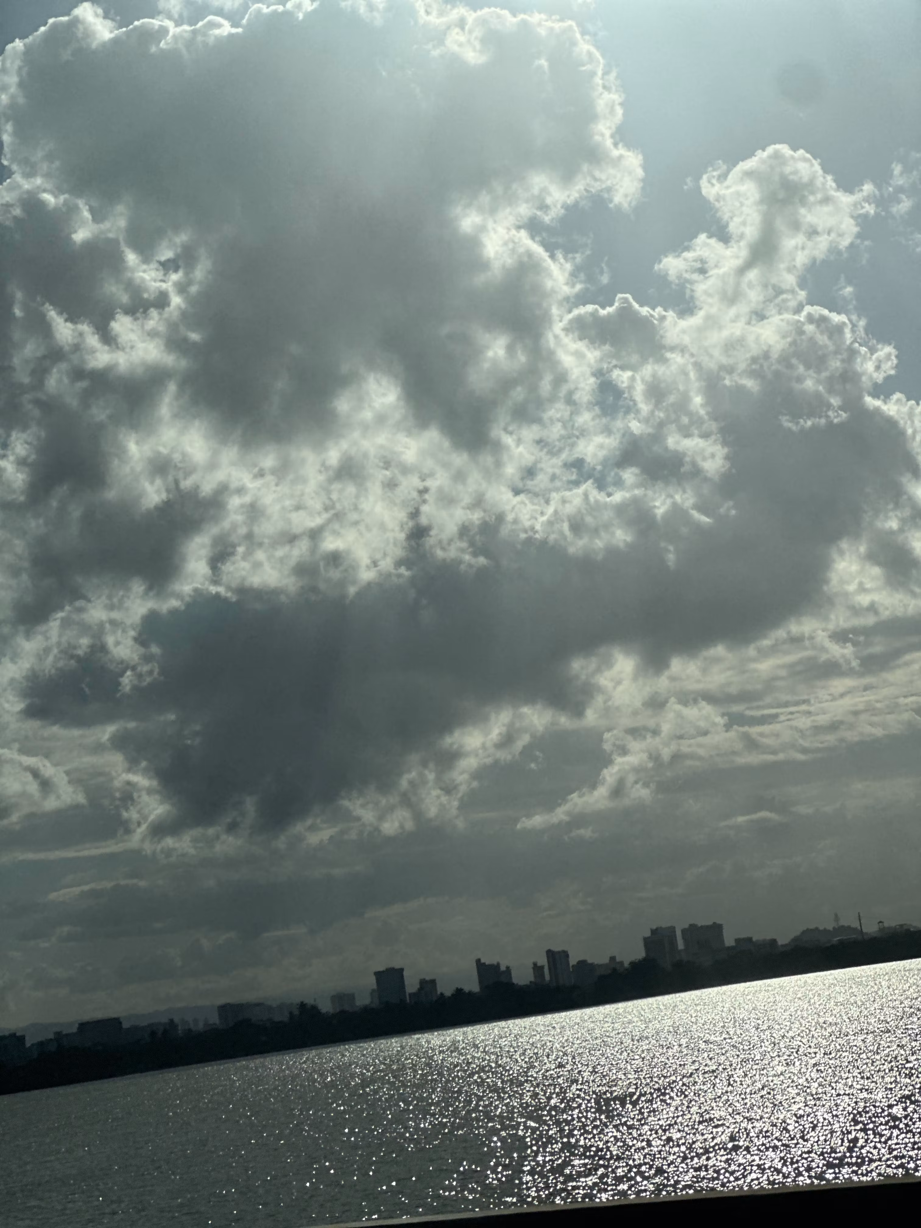 Transportation Specialist