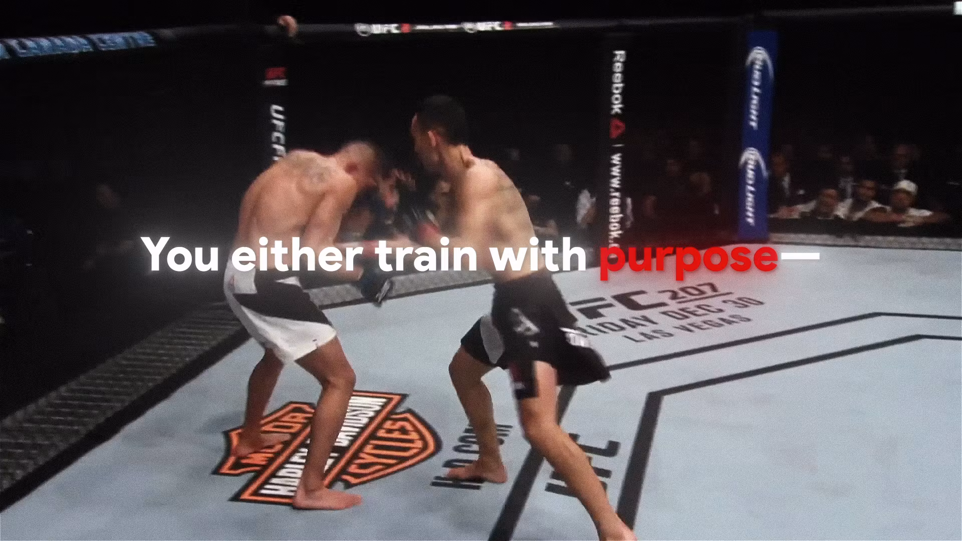 Combat Culture - Striking Series