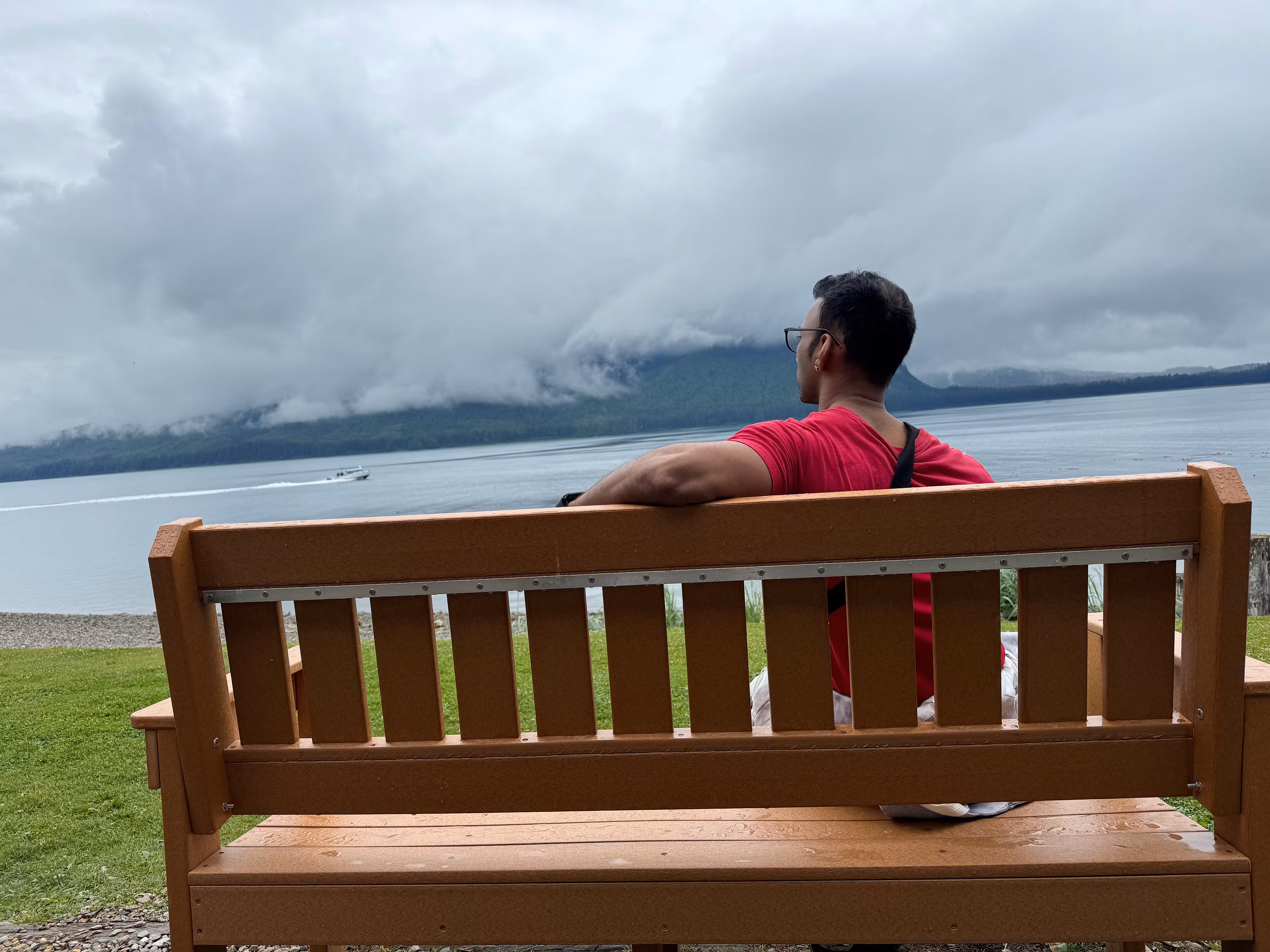 Vegetarian Strength Mastery