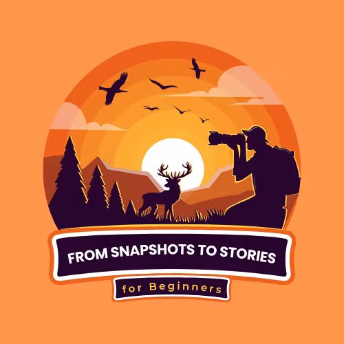 From Snapshots to Stories