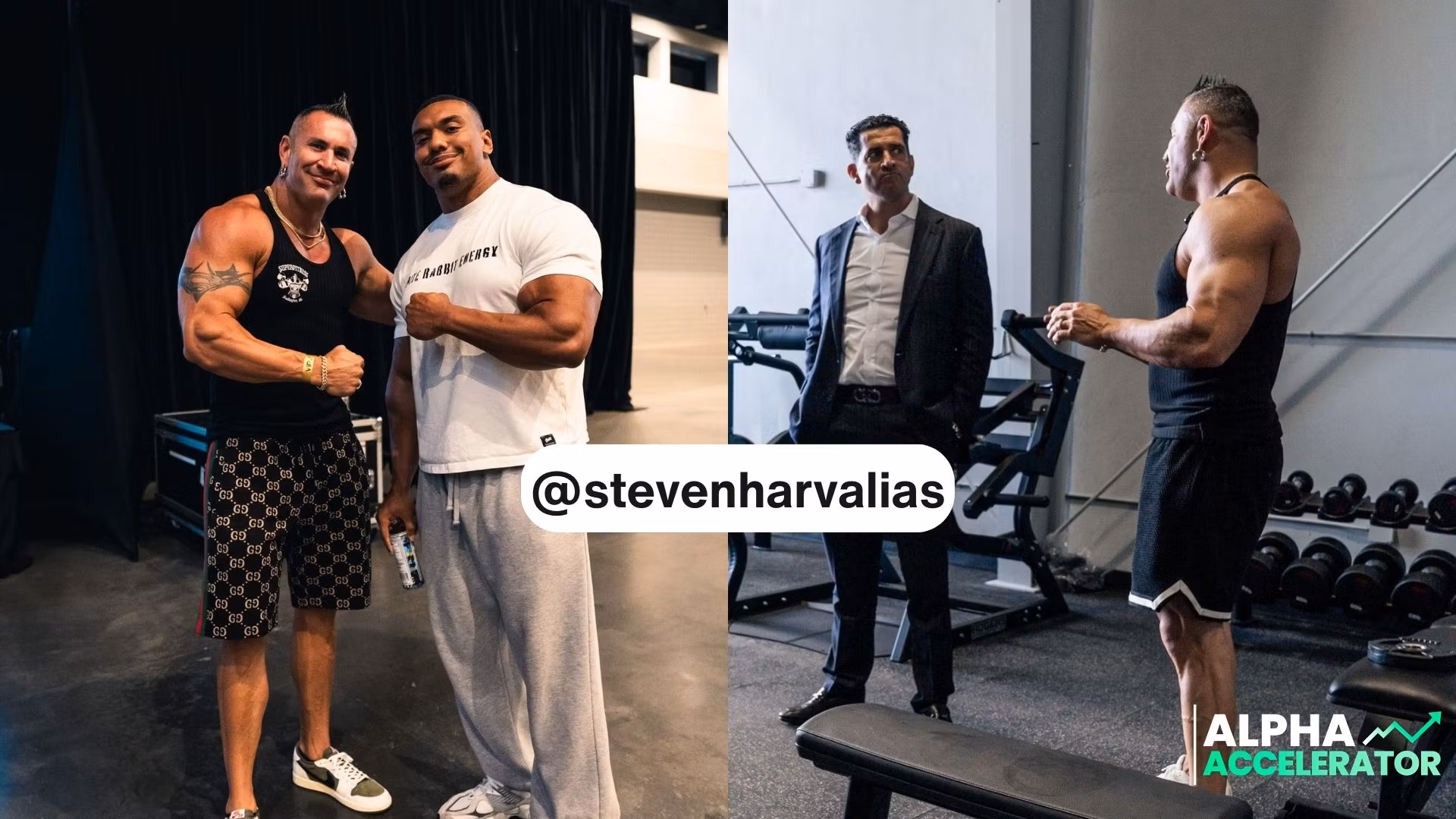 Steven Harvalias Clips