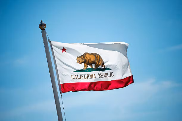 Solar ROI Comparison Guide