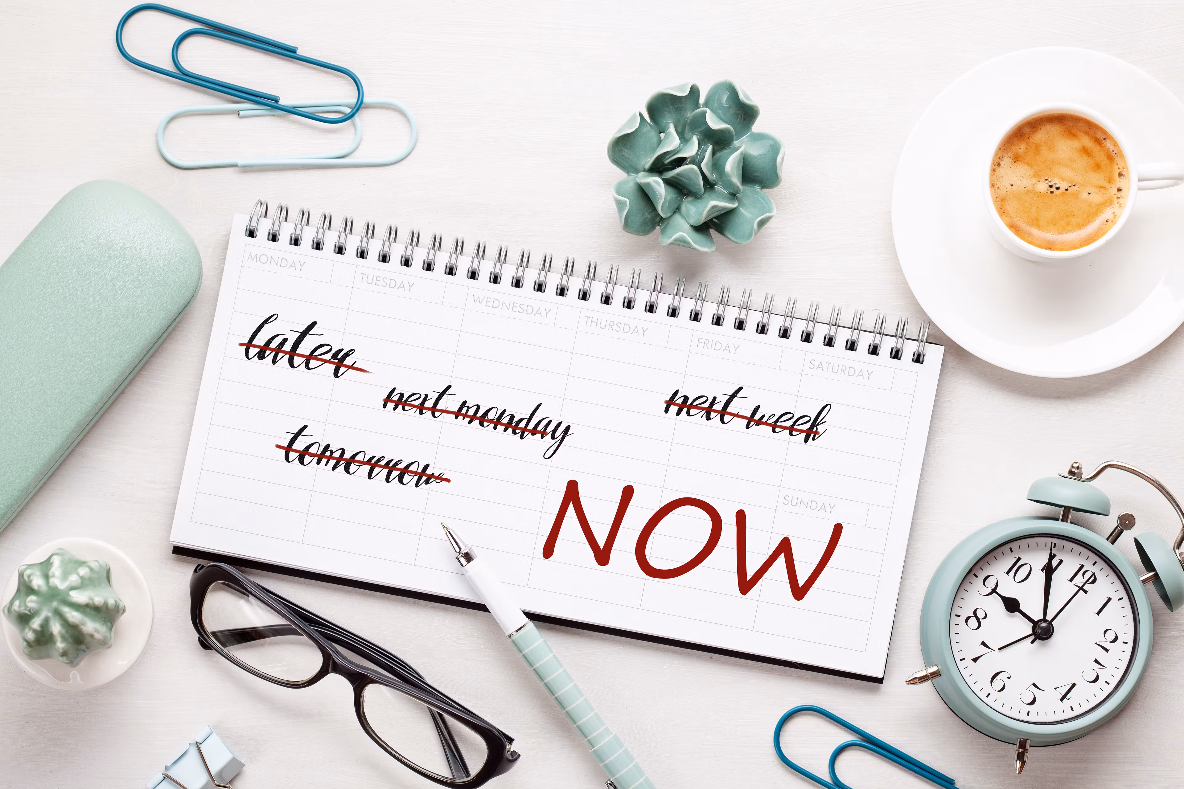 Career Transition Challenge