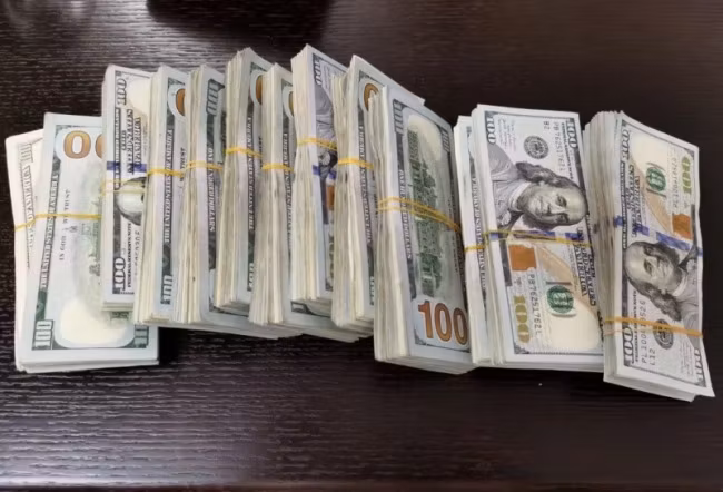 Profit Pulse Trading Collected