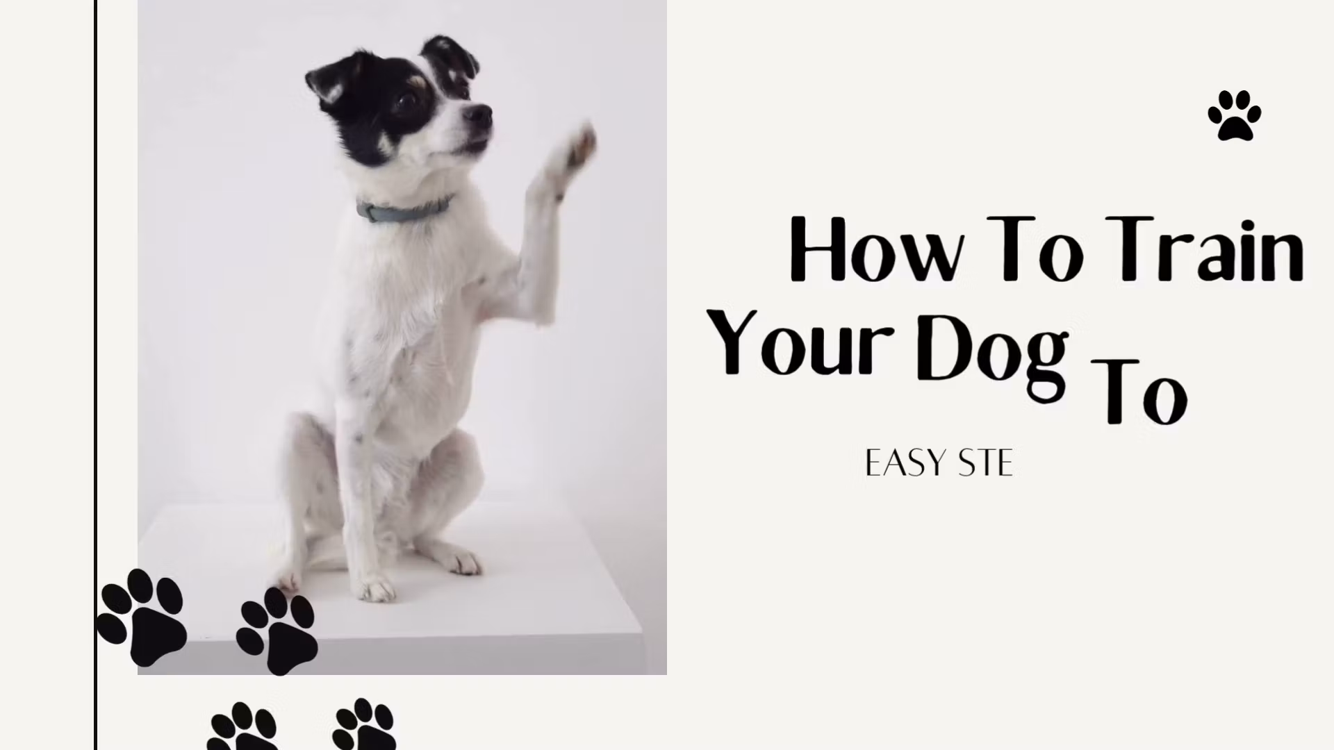 Teach Your Dog to Sit (Easy)