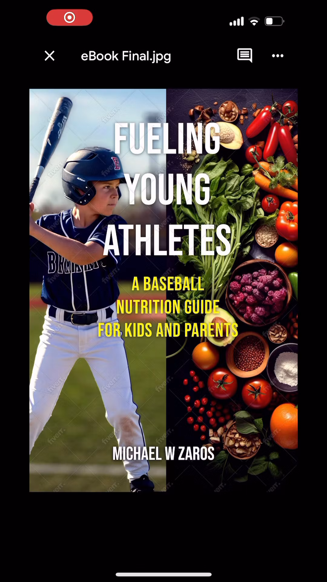 Baseball ebook