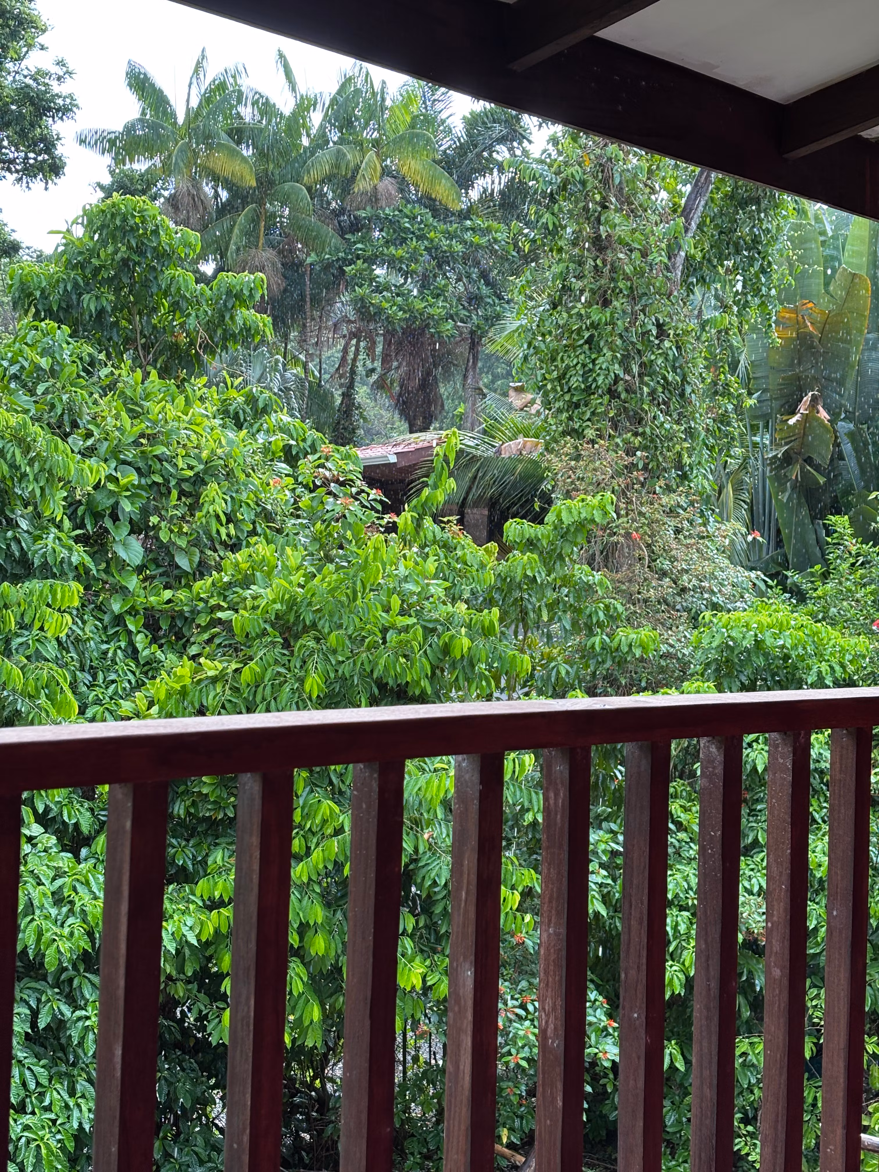 La Selva & the Stars