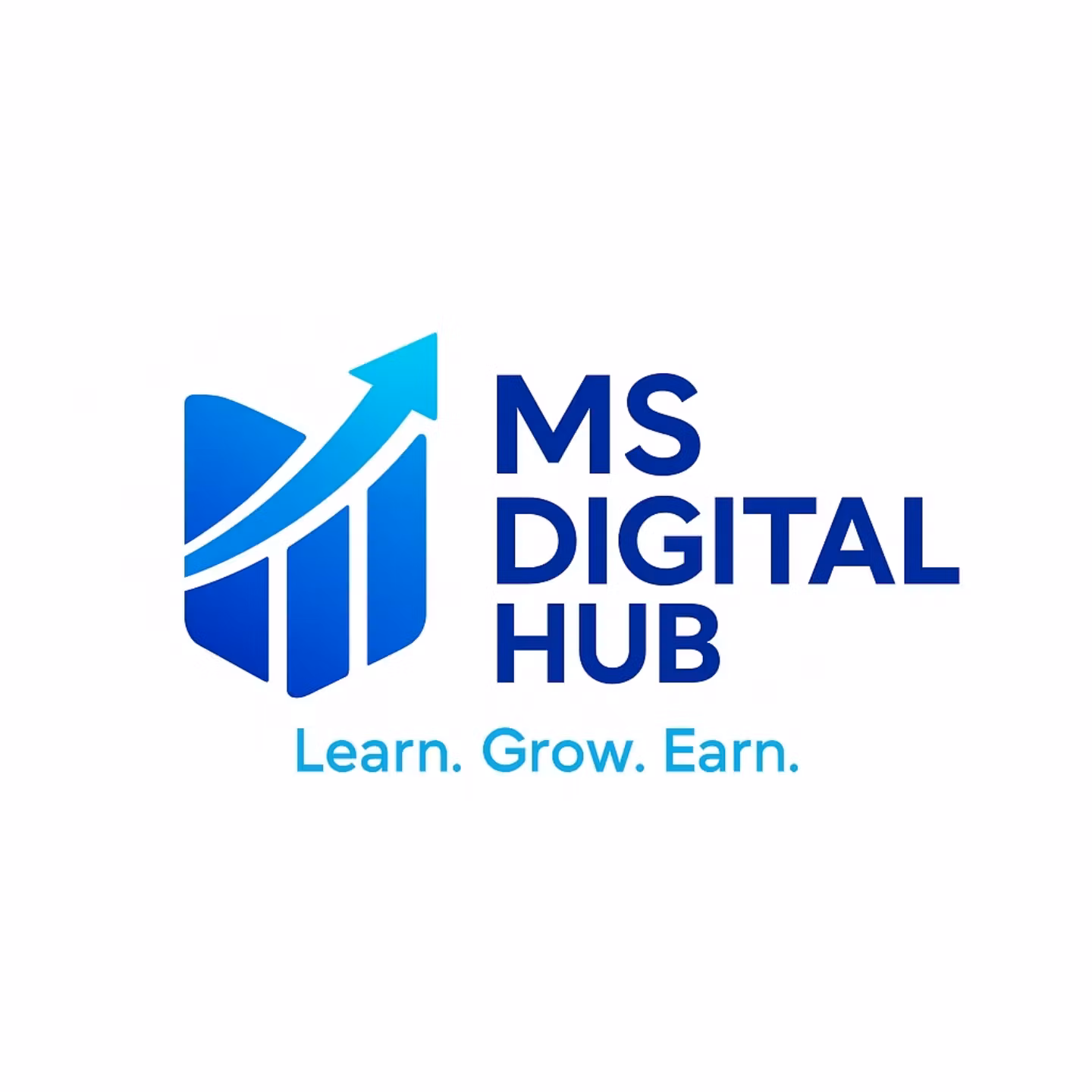 Ms Digital Hub