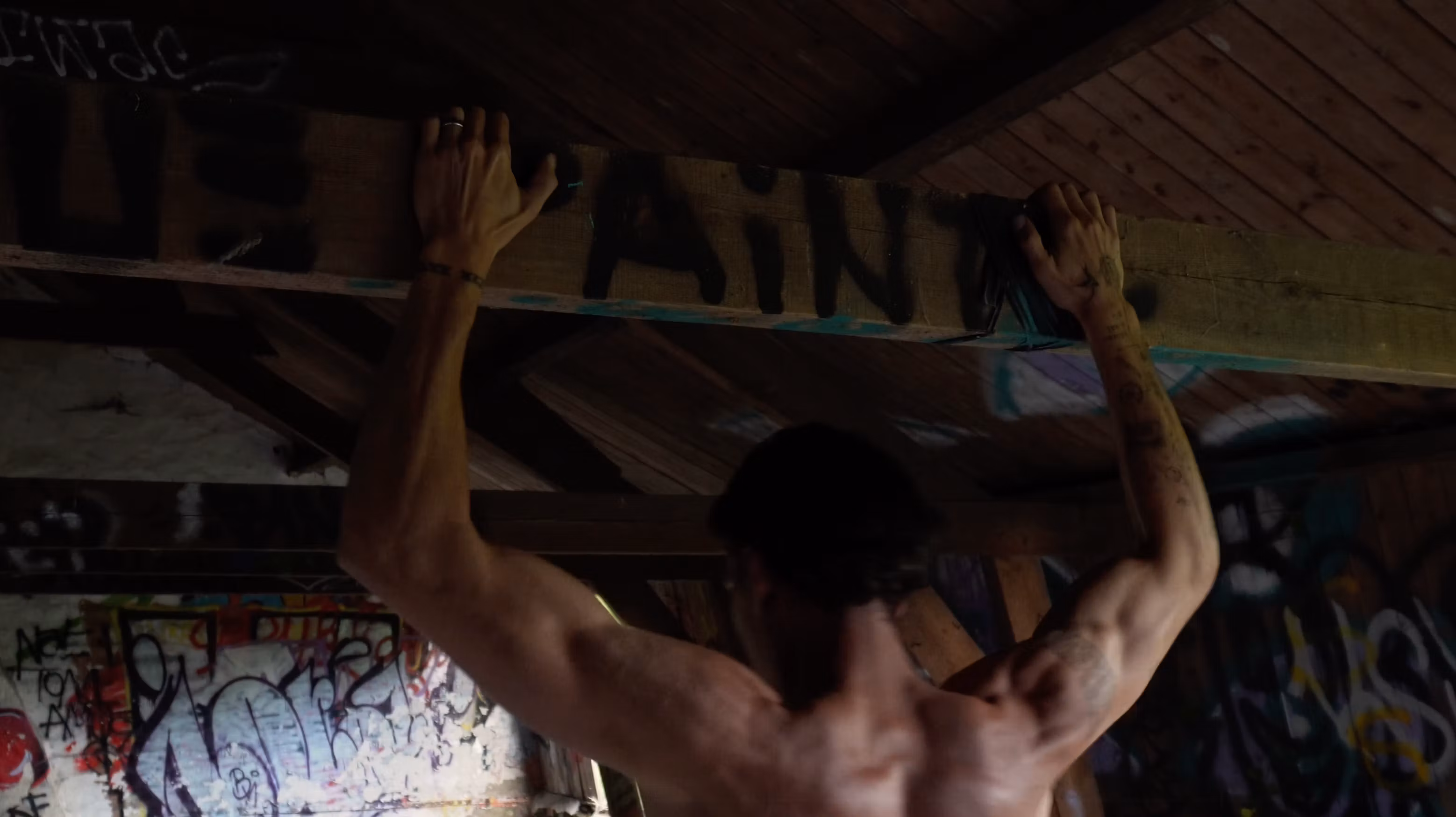 Milovated Calisthenics Roadmap